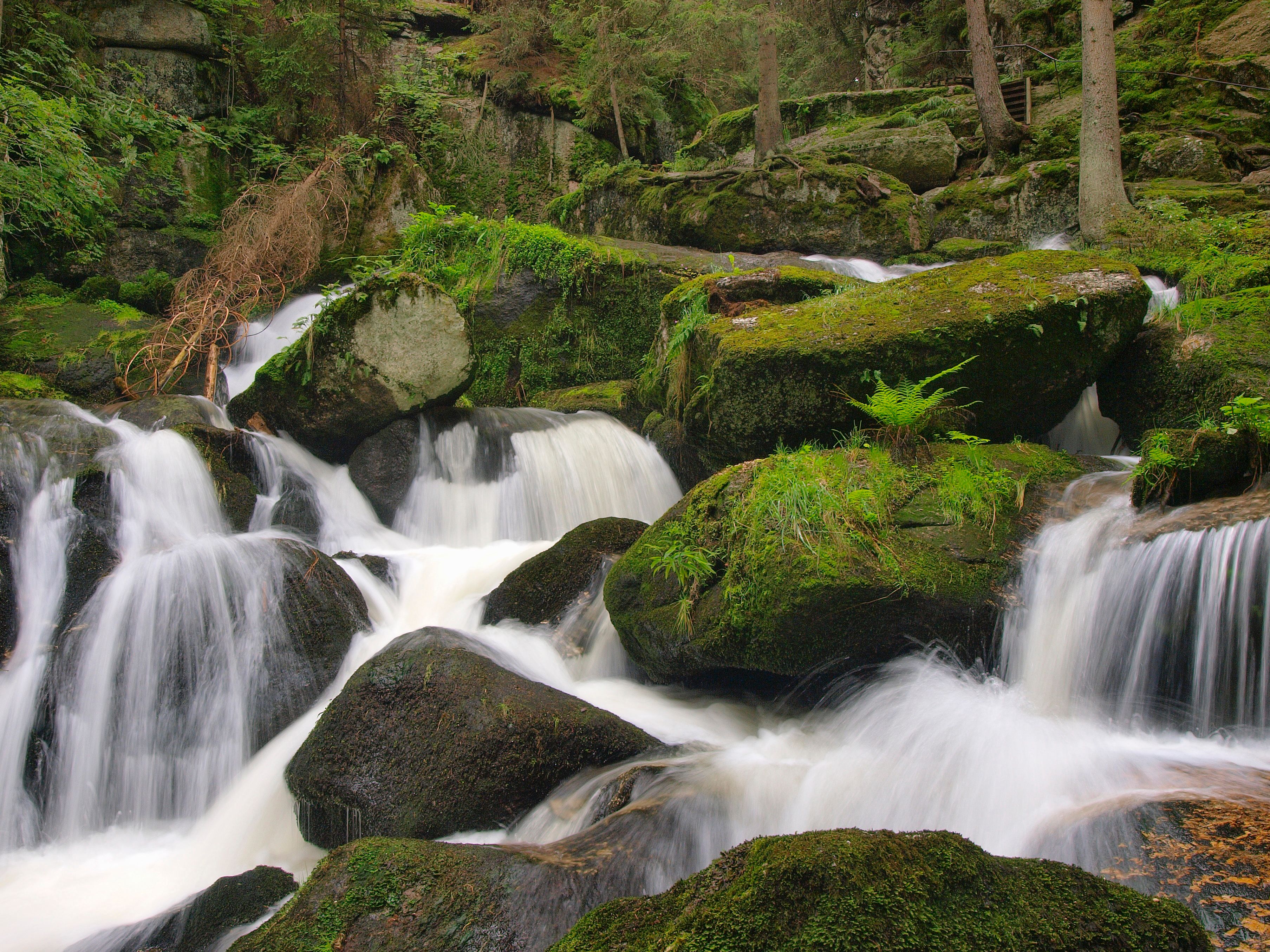 Nationalpark Nummer drei von Niederösterreich bald Realität.