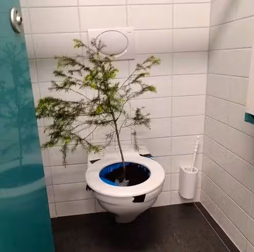 Die Schüler hätten danach alles aufräumen müssen – selbst jene, die sich nicht daneben benommen hatten, sagt eine Schülerin der Abschlussklasse.