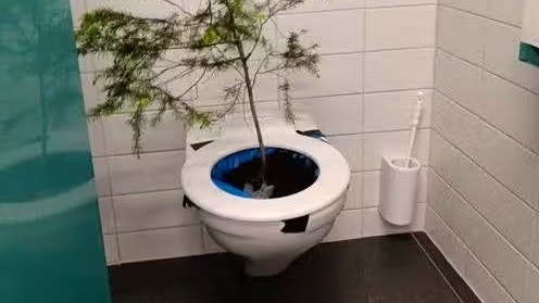 Heute.at - Tote Fische und Baum im WC – Maturastreich eskaliert