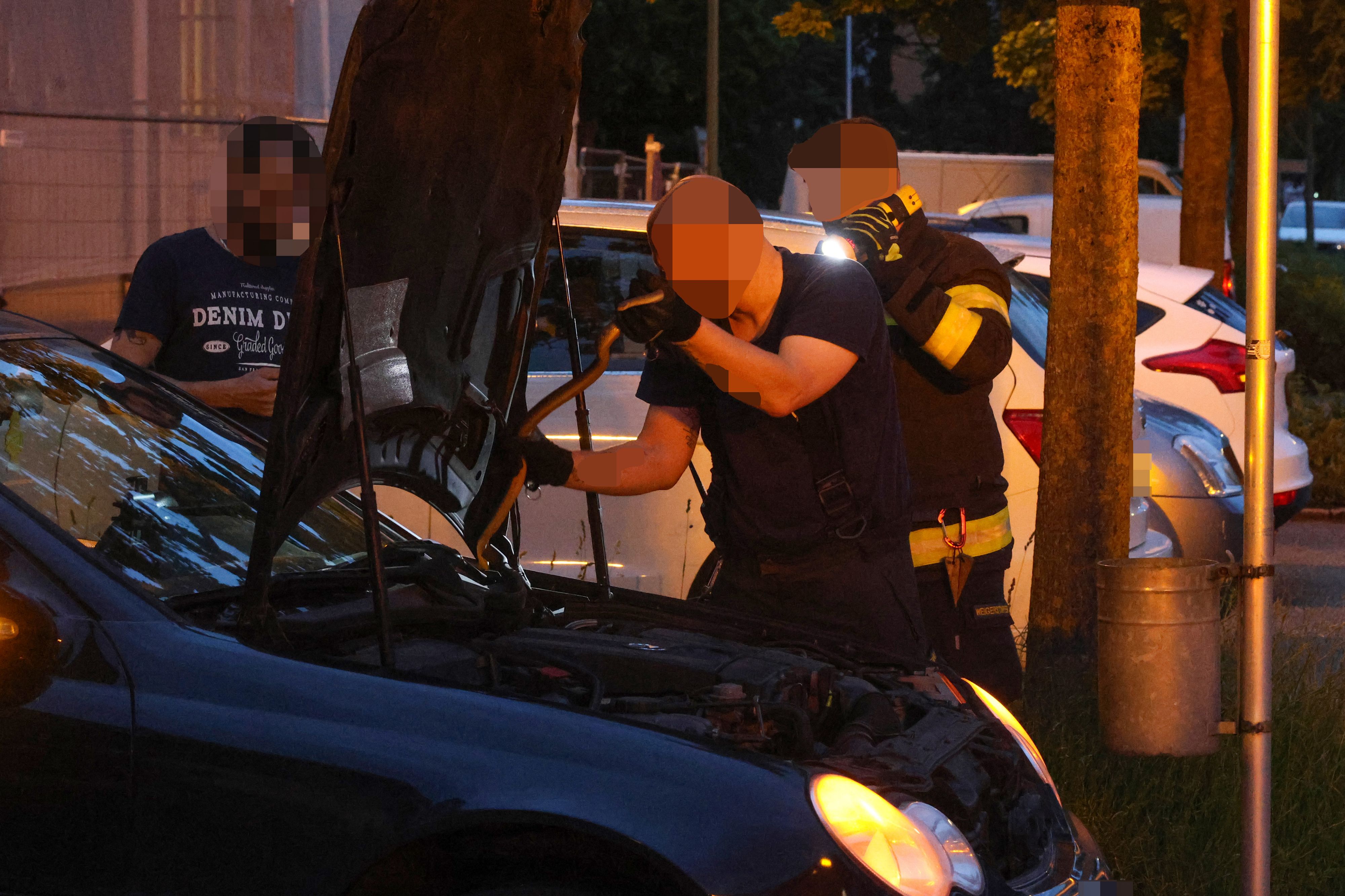 Das Reptil hatte sich im Motorraum des Autos verkrochen.