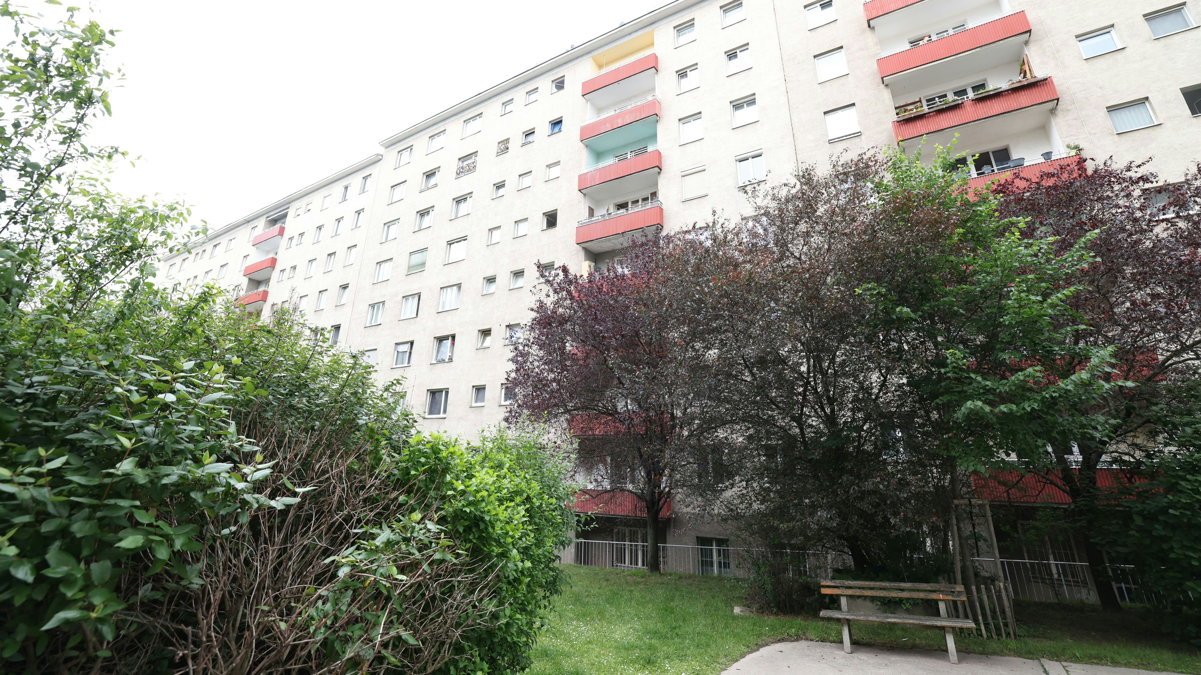 Heute.at - Zugang zu Gemeindewohnungen wird heuer verschärft