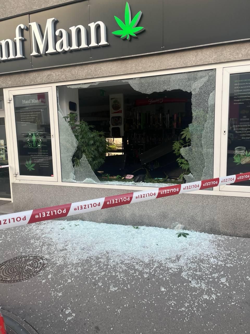 Heute.at - Duo bricht in Wiener Hanf-Shop ein, gehen leer aus