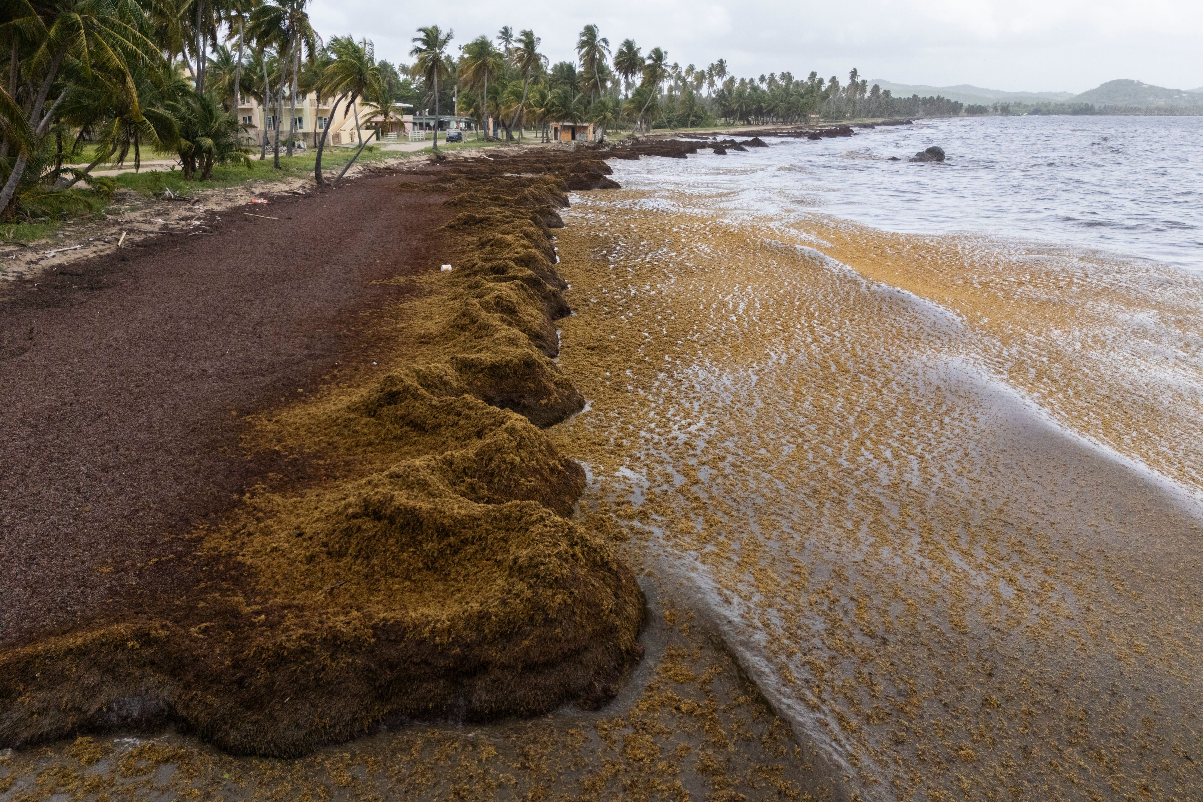 Auch der Strand Playa Lucia in Kuba ist betroffen. 