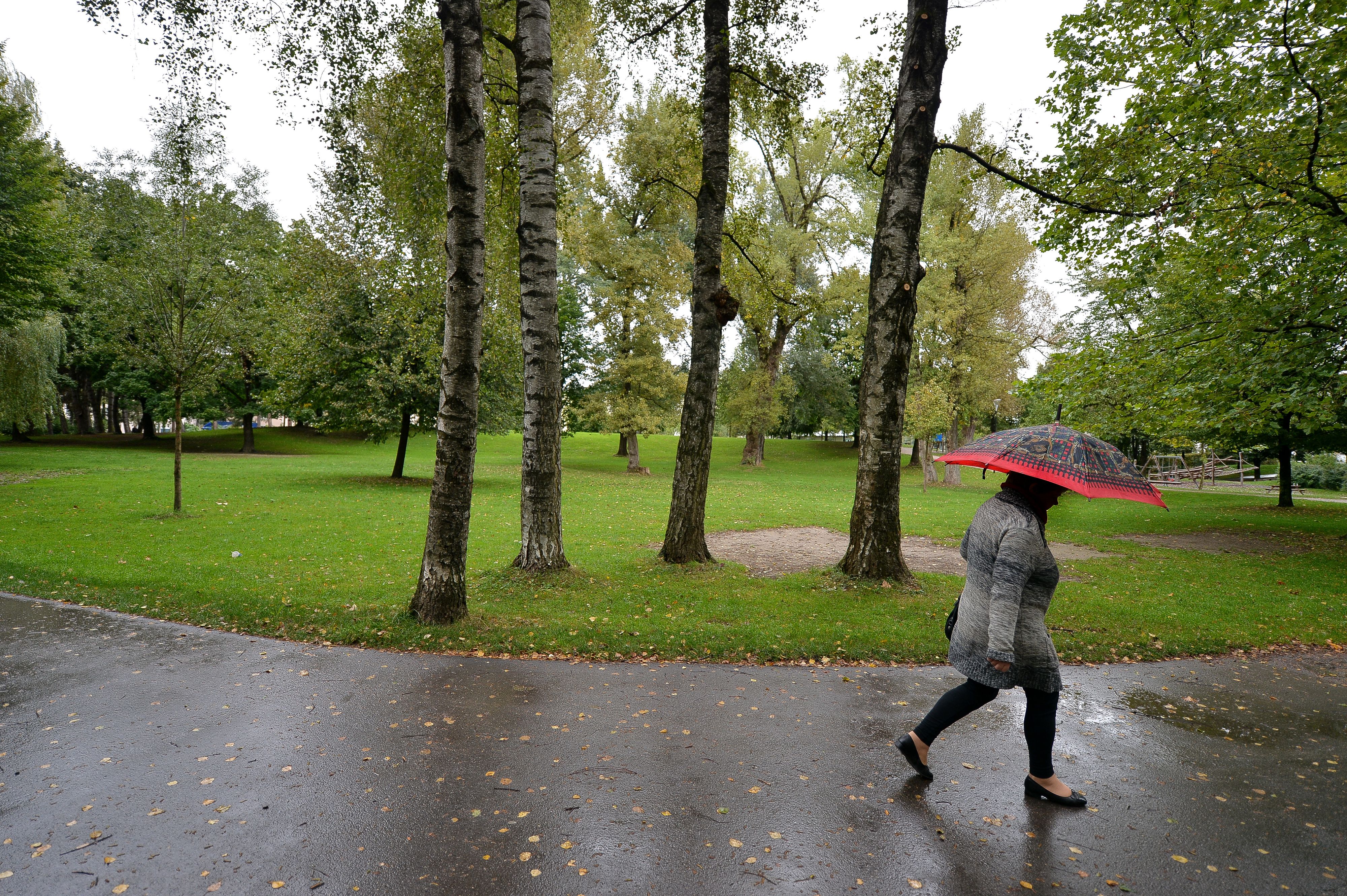 Wieder ein Messervorfall im Lehener Park