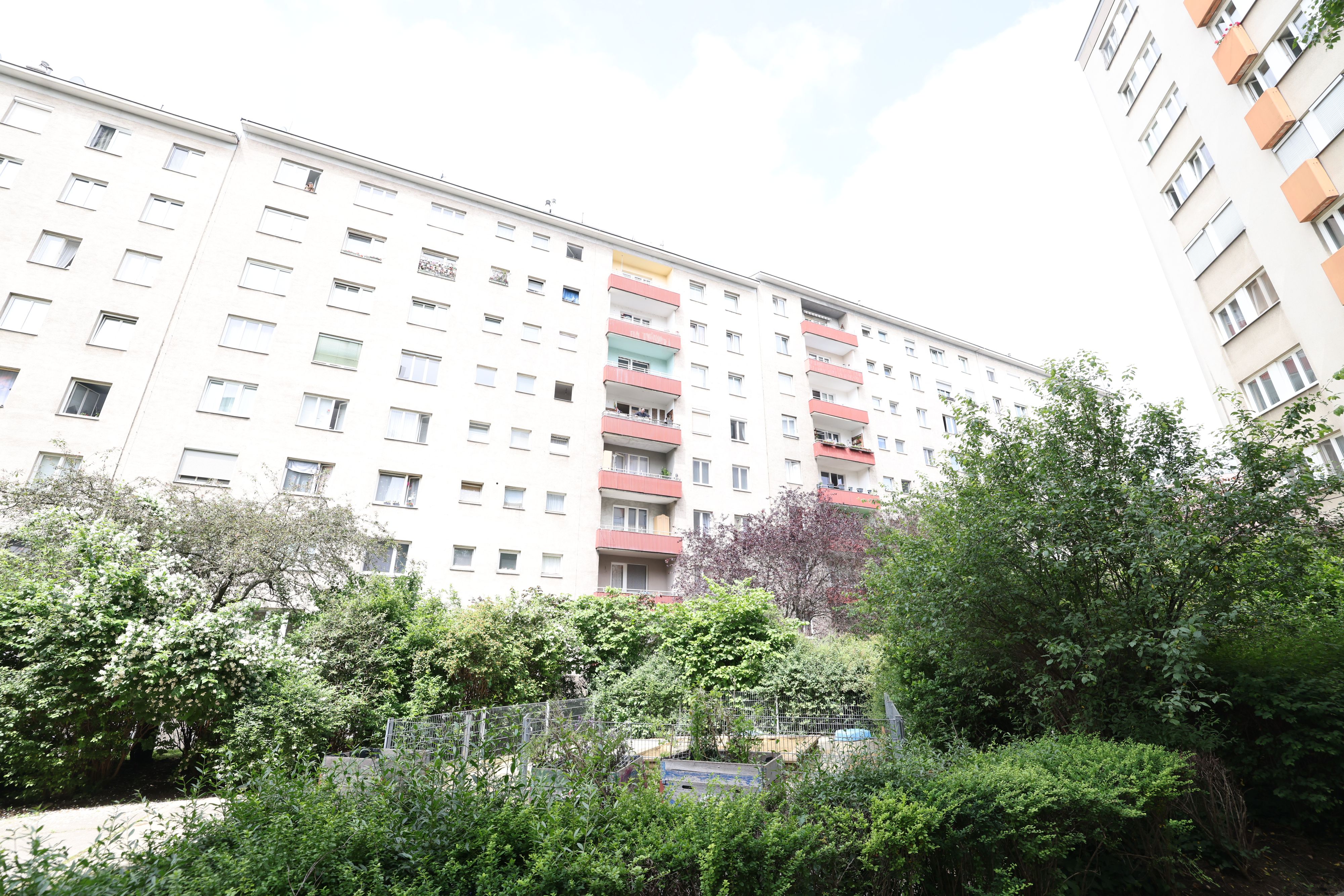 Heute.at - Sperrmüll, Hundstrümmerl: 2.793 Strafen im Gemeindebau