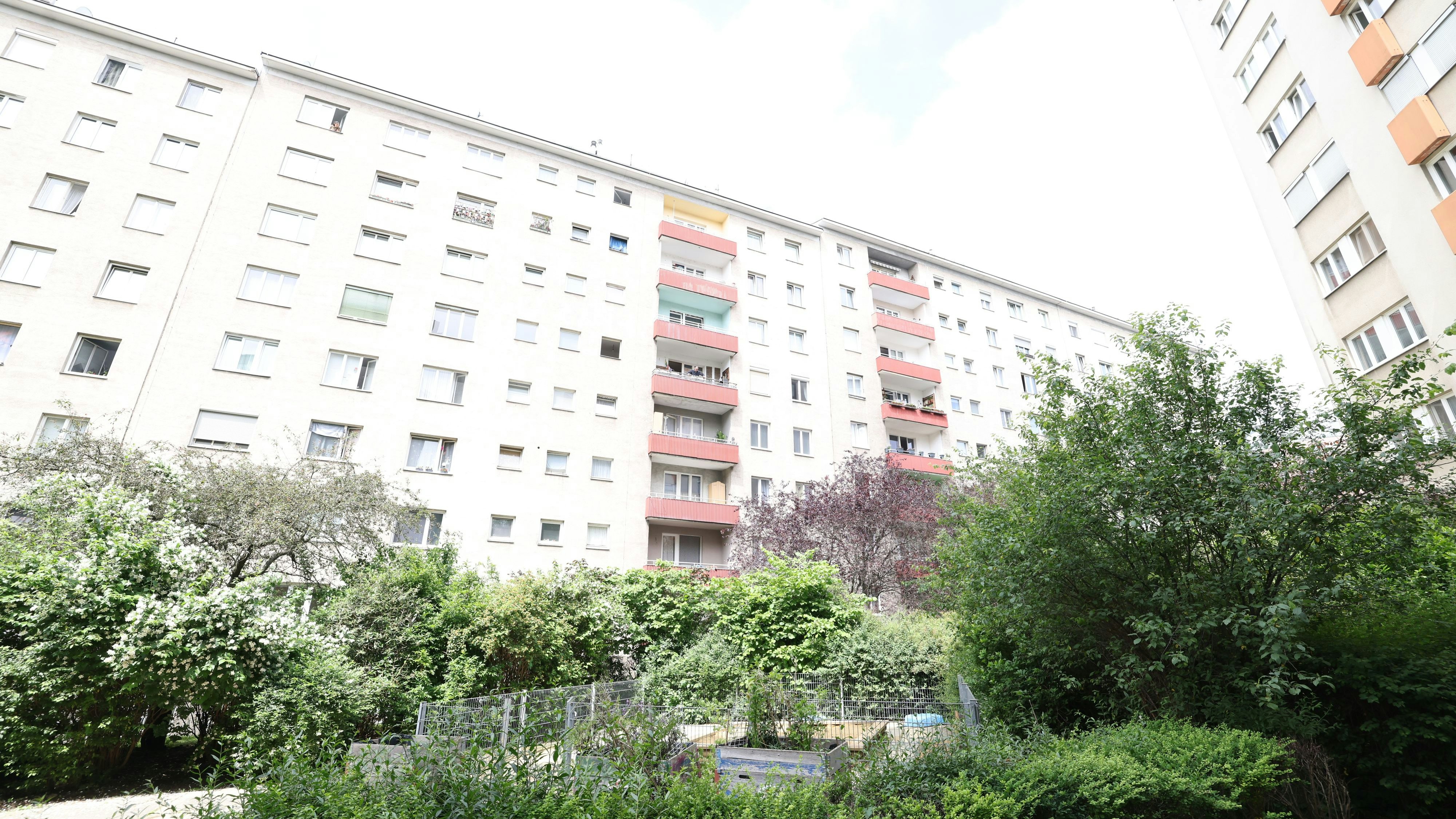Heute.at - Todessturz in Wien – lauter Streit vor Tragödie