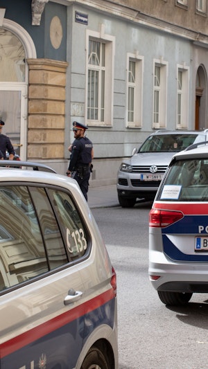 In der Wiener Brigittenau konnte die Polizei nun einen dreisten Diebstahl aufklären. Die verdächtige Syrerin flog wegen Social-Media-Videos auf.