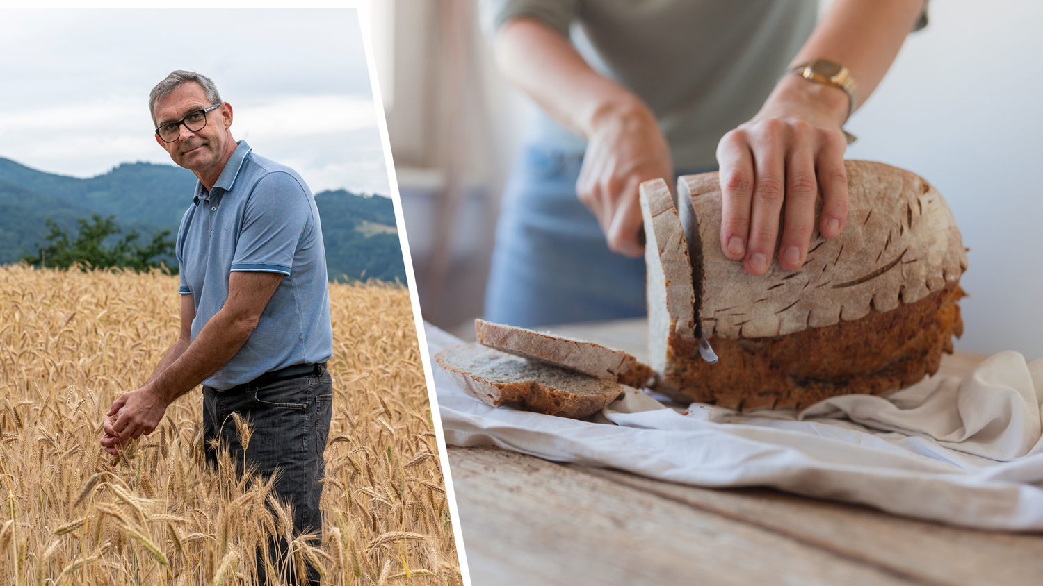 LK OÖ-Präsident Franz Waldenberger fordert eine faktenbasierte Debatte rund um die Chemikalie in Getreideprodukten. (Symbolbild)