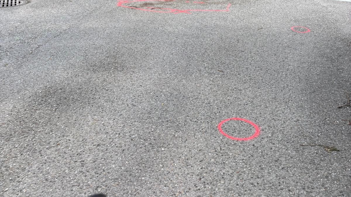 Der Tatort in St. Aegyd am Neuwalde: Hier fiel der tödliche Schuss