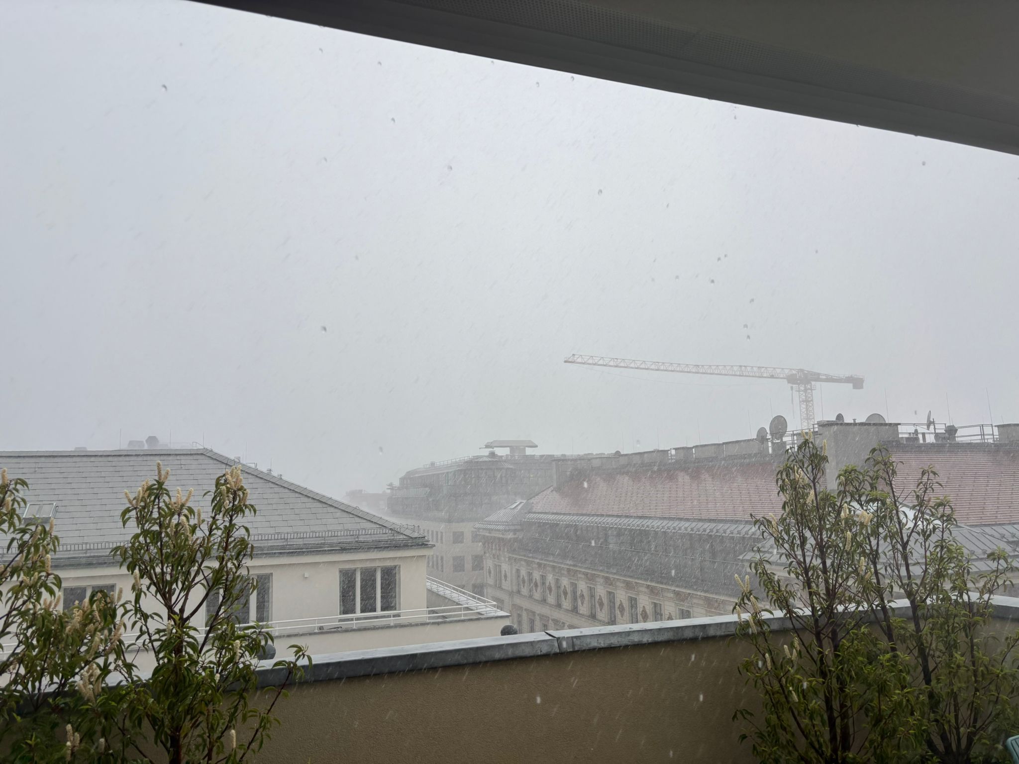 Trübe Aussichten: Immer wieder zieht Regen über Wien und andere Teile unseres Landes.