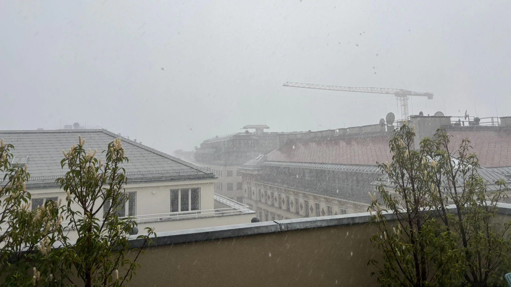 Regen Wien