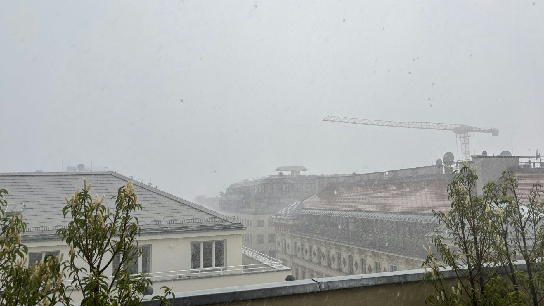 Heute.at - Monsun in Österreich – ist der Sommer schon vorbei?