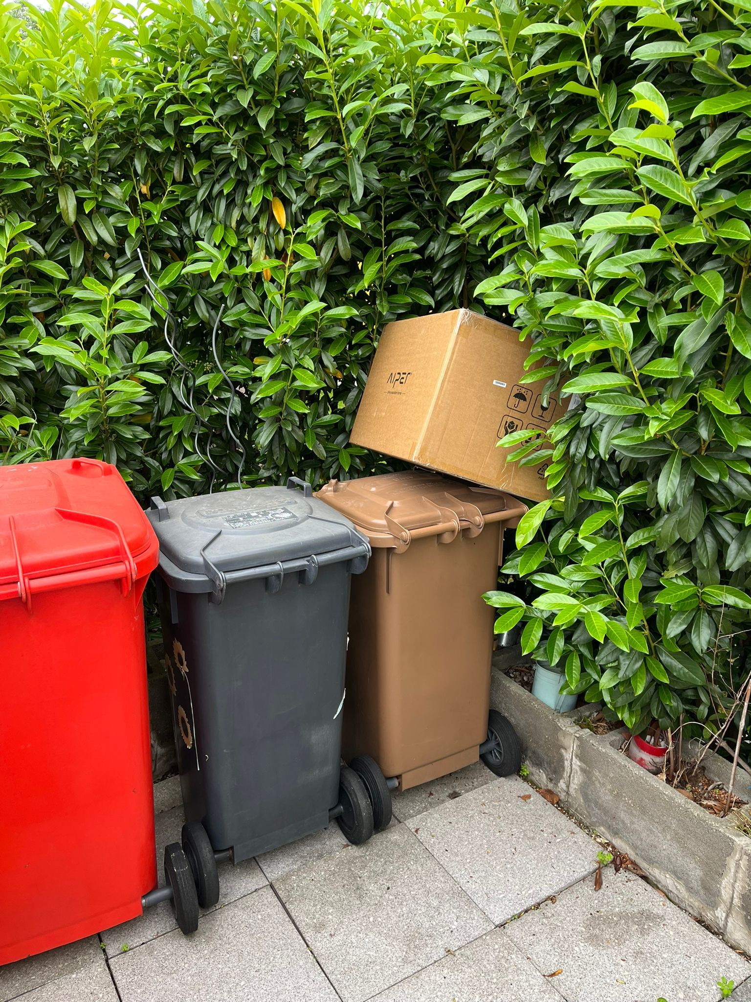 Leserin Manuela war sich nicht sicher, ob das Packerl abgestellt oder geworfen wurde.