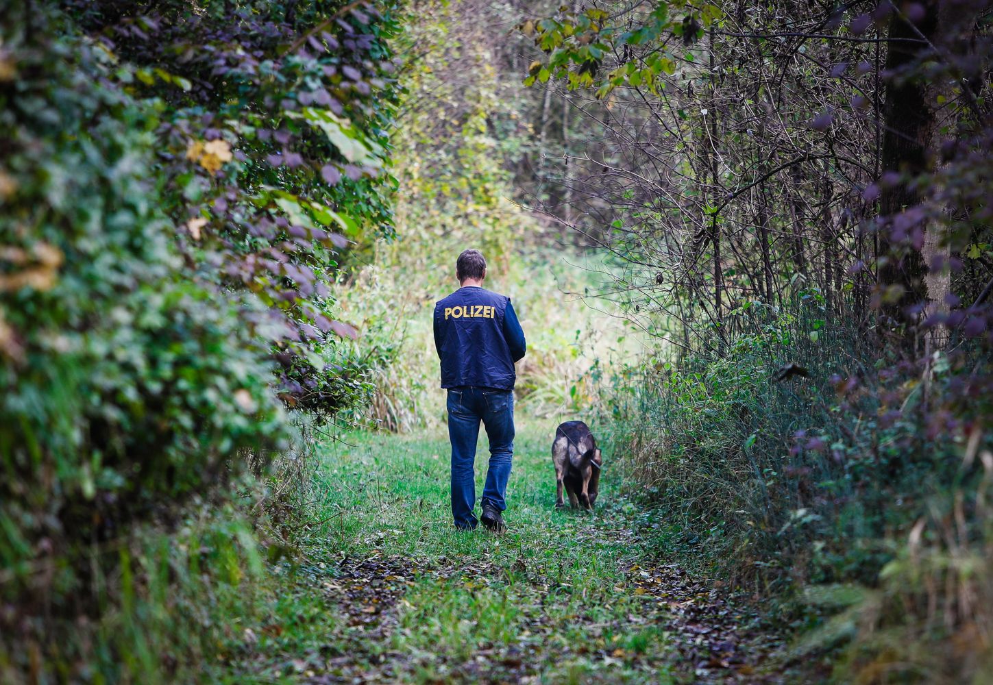 Eine groß angelegte Suchaktion wurde eingeleitet. (Symbolbild)