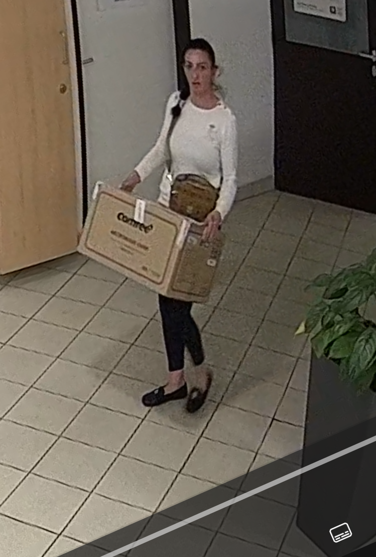 Ein Foto der Täterin bei einem Tathergang in Wien.