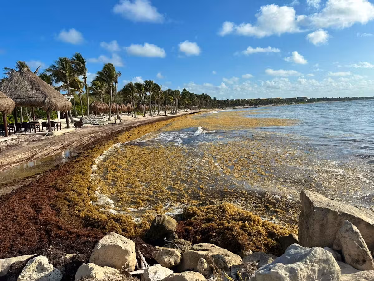 So sieht es aktuell an der Riviera Maya in Mexiko aus.