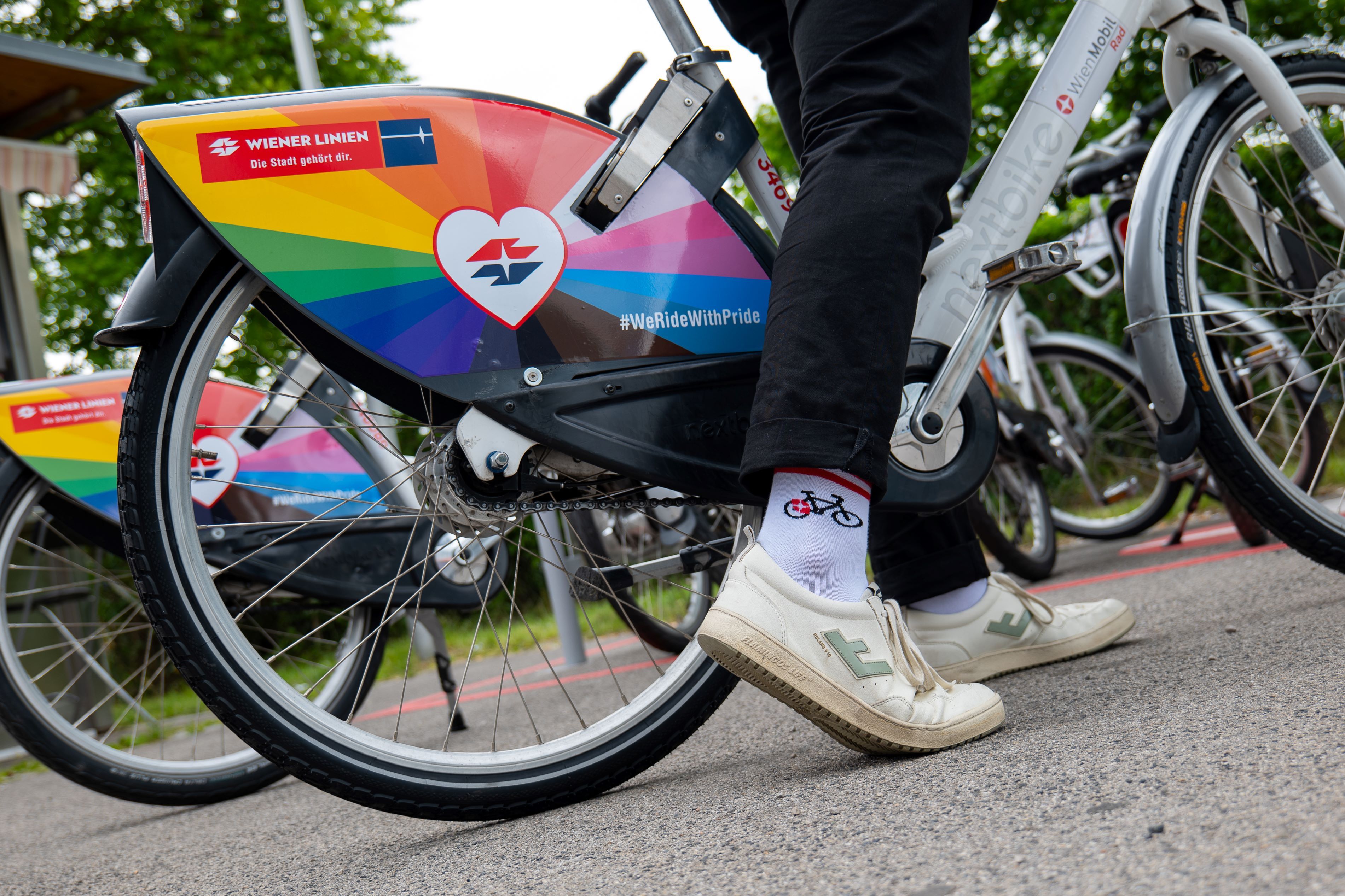 Erstmals sind heuer 200 bunte WienMobil-Räder unterwegs.