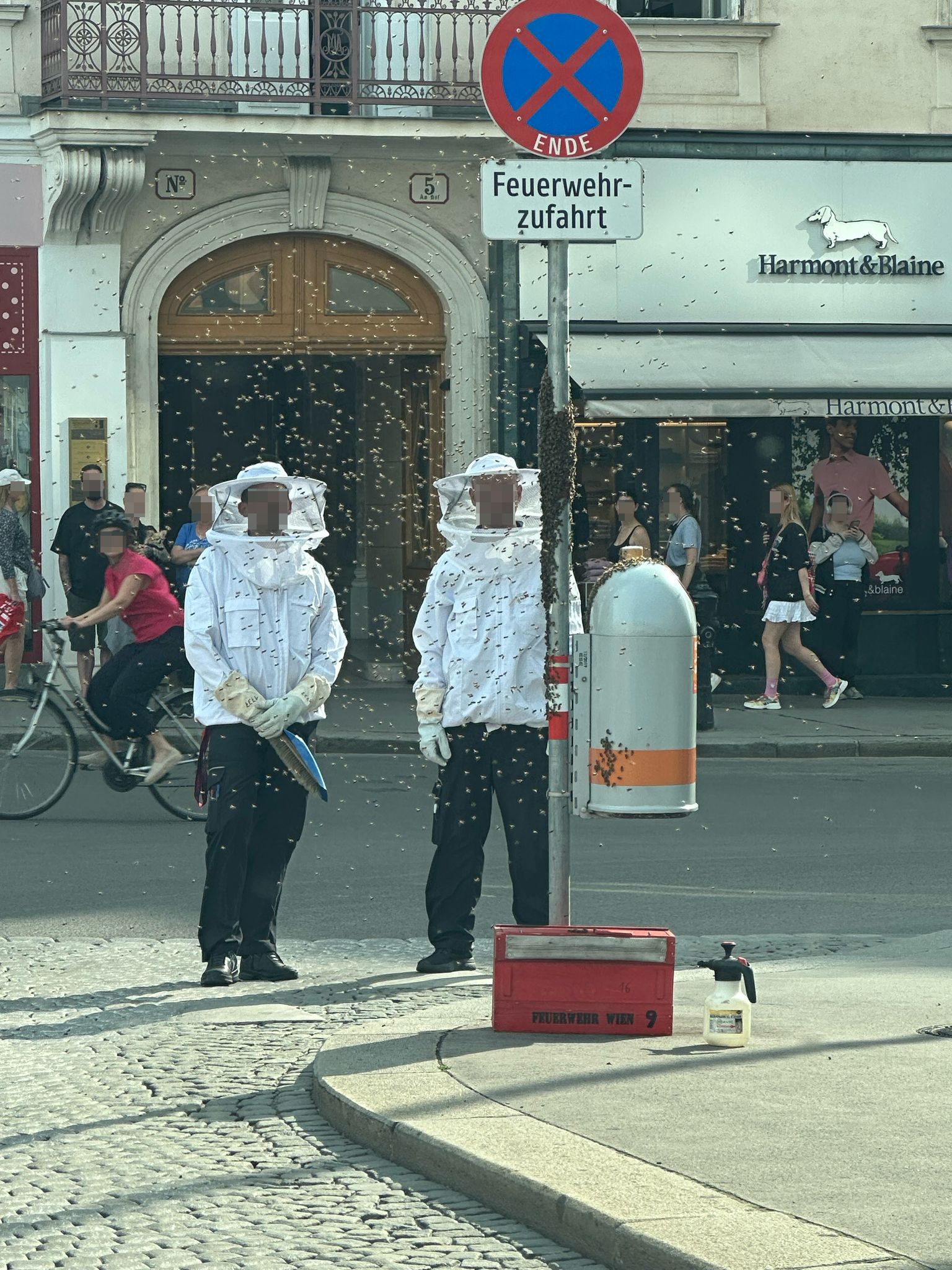 Bienenvolk sorgt für Imker-Einsatz Am Hof (Innere Stadt)