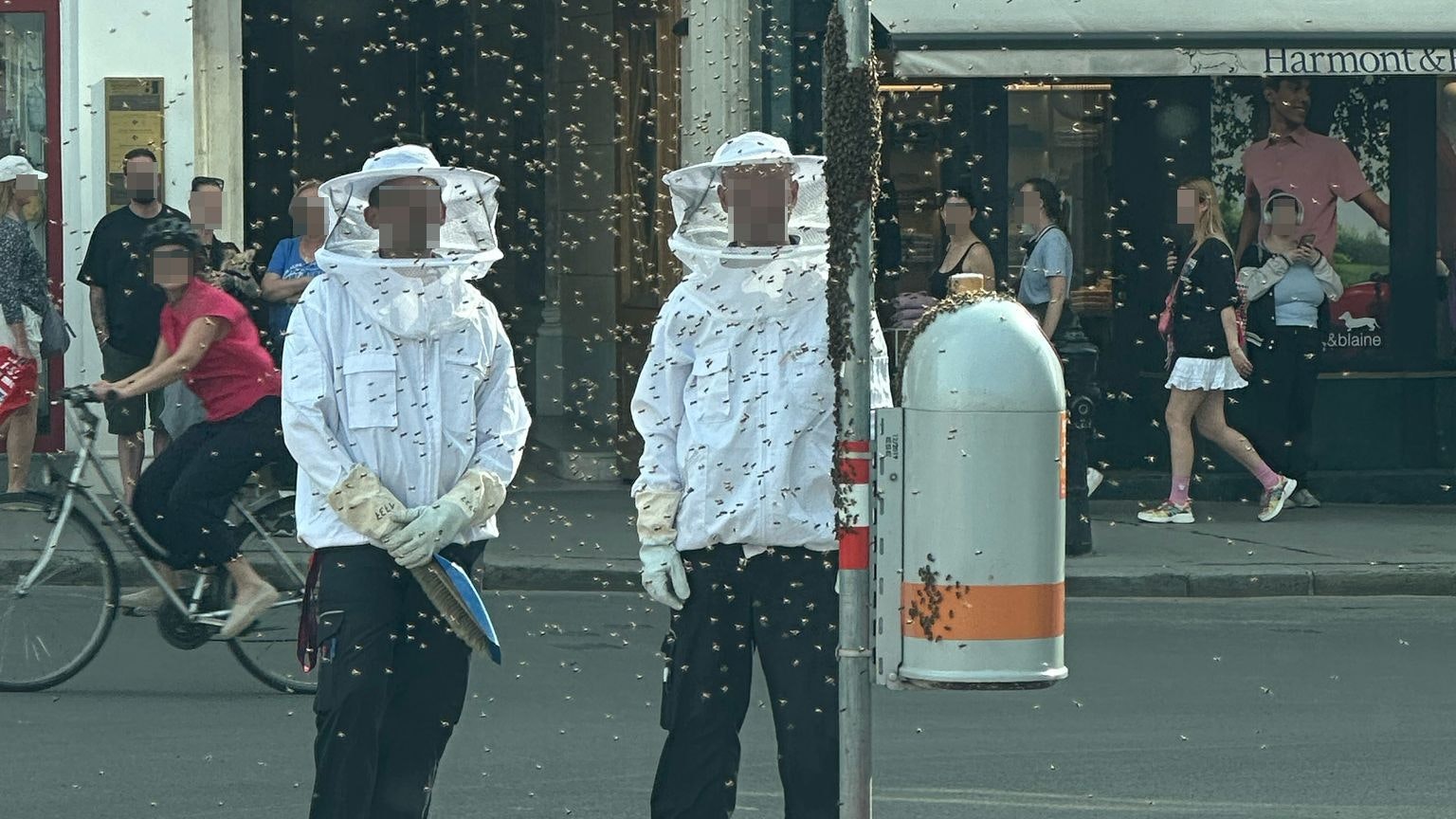 Bienen-Invasion am Hof sorgt für Feuerwehr-Einsatz