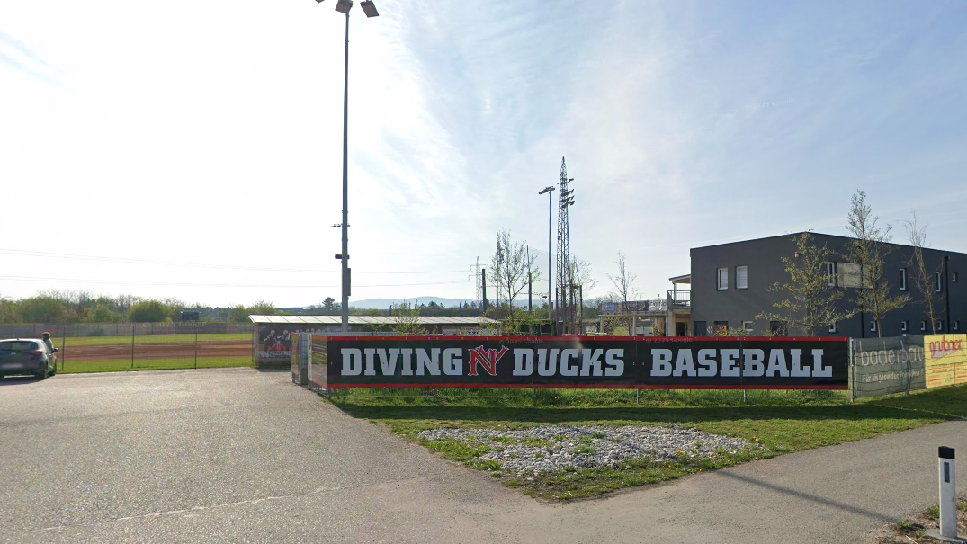 Ducksfield Baseball Wiener Neustadt