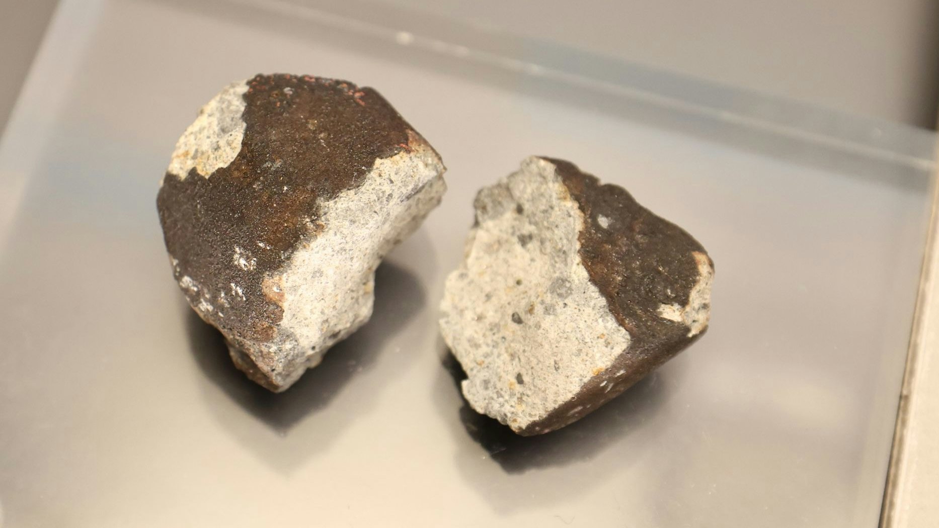 Der Sensationsfund aus nächster Nähe