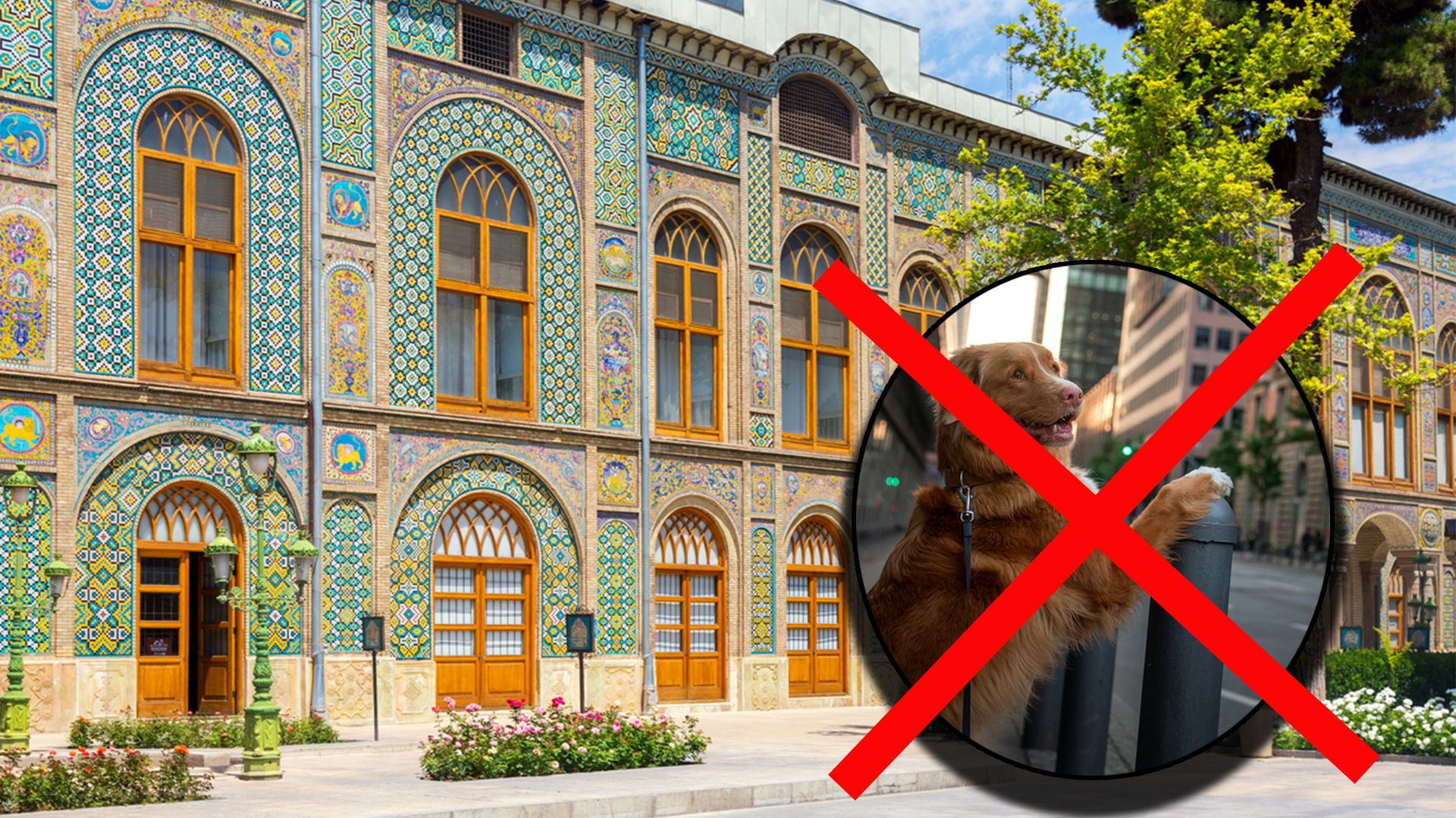 In der iranischen Hauptstadt Teheran dürfen Hund schon seit längerer Zeit nicht mehr Gassi geführt werden.