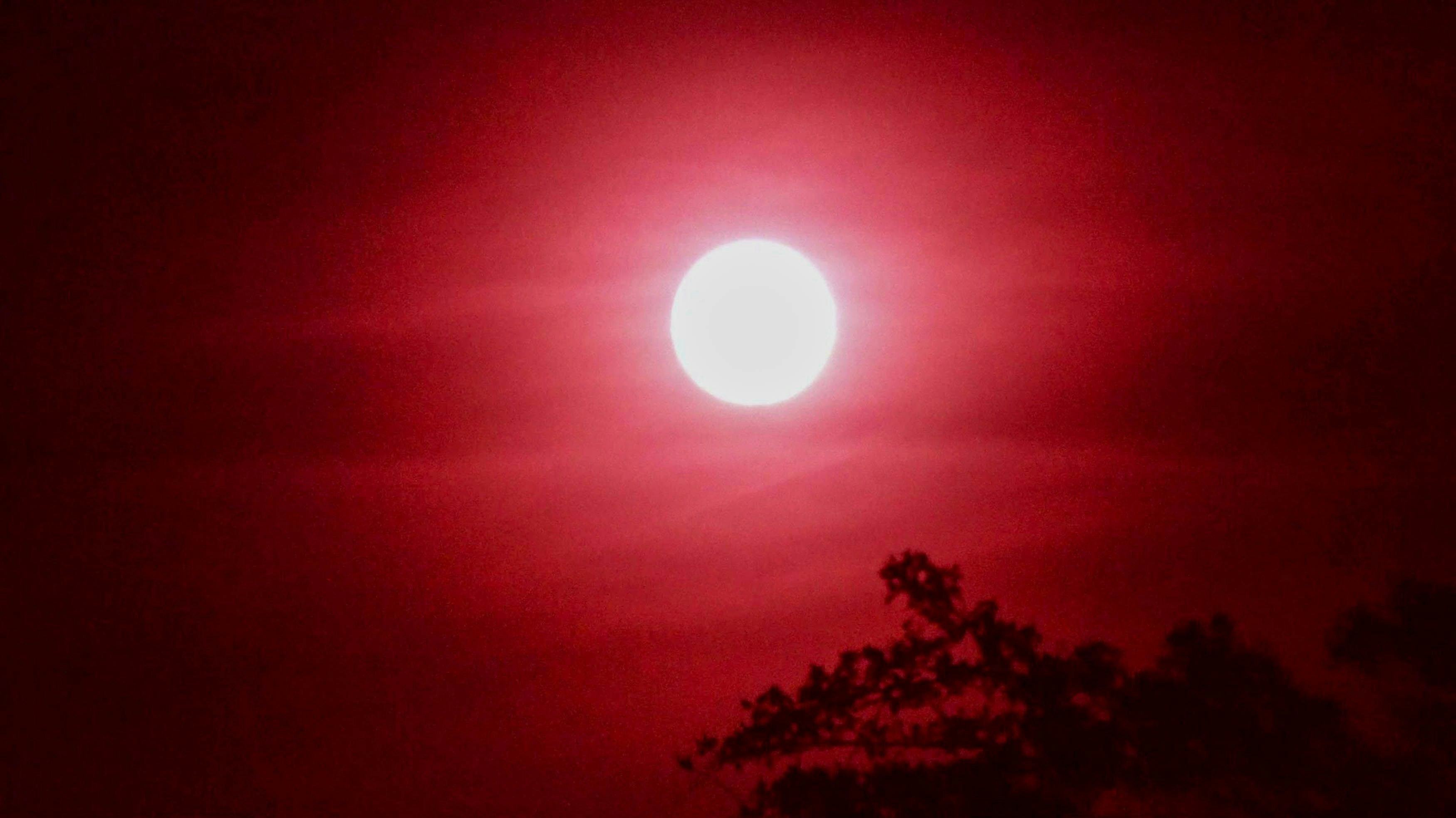 Am Nachthimmel konnte man heute Nacht einen seltenen "Erdbeermond" beobachten