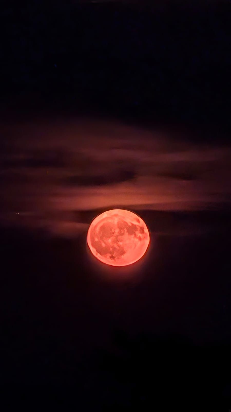 Auf der ganzen Welt konnten sich Interessierte über den Anblick freuen