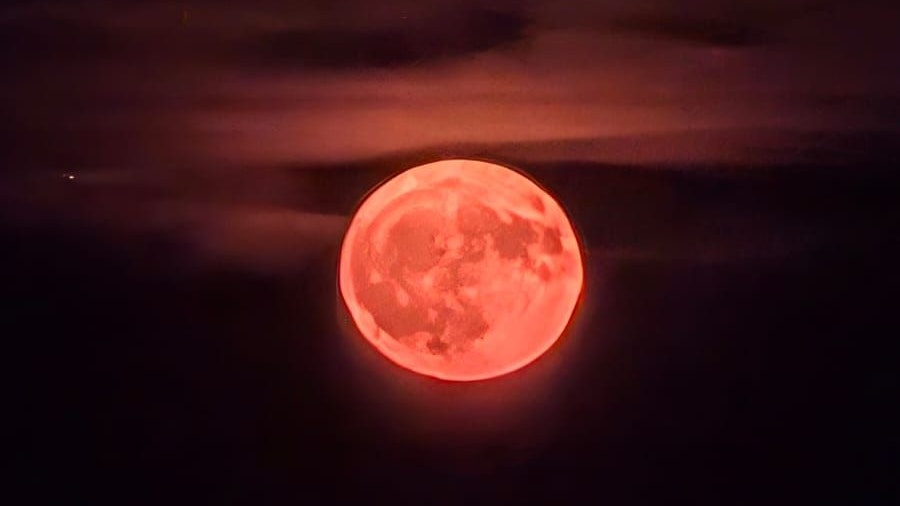 Auf der ganzen Welt konnten sich Interessierte über den Anblick freuen