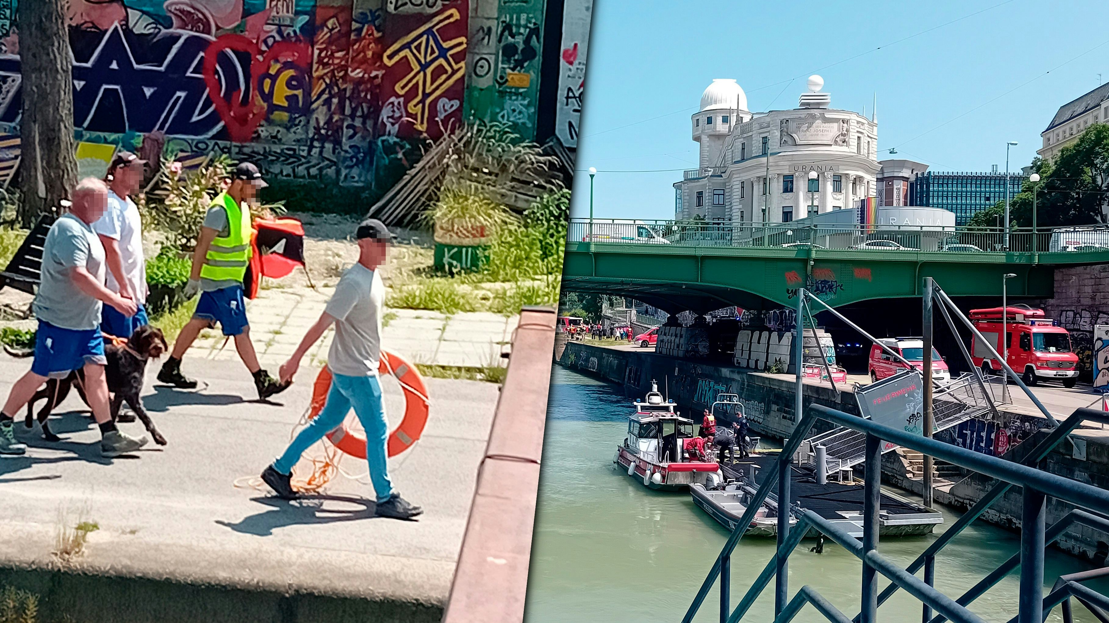 Heute.at - Wiener retten Hund vor dem Ertrinken im Donaukanal
