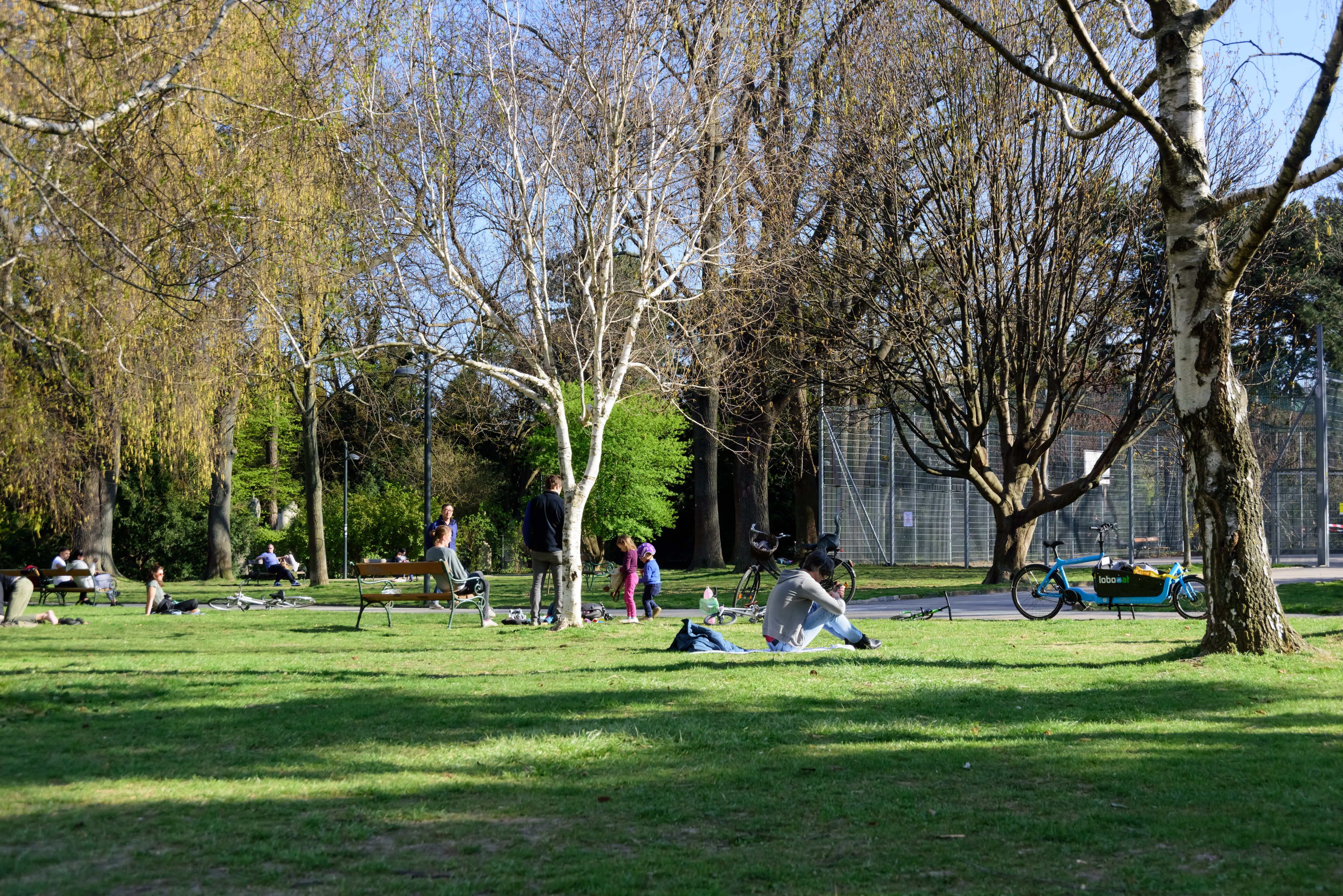 Der Vorfall passierte im Währinger Park.