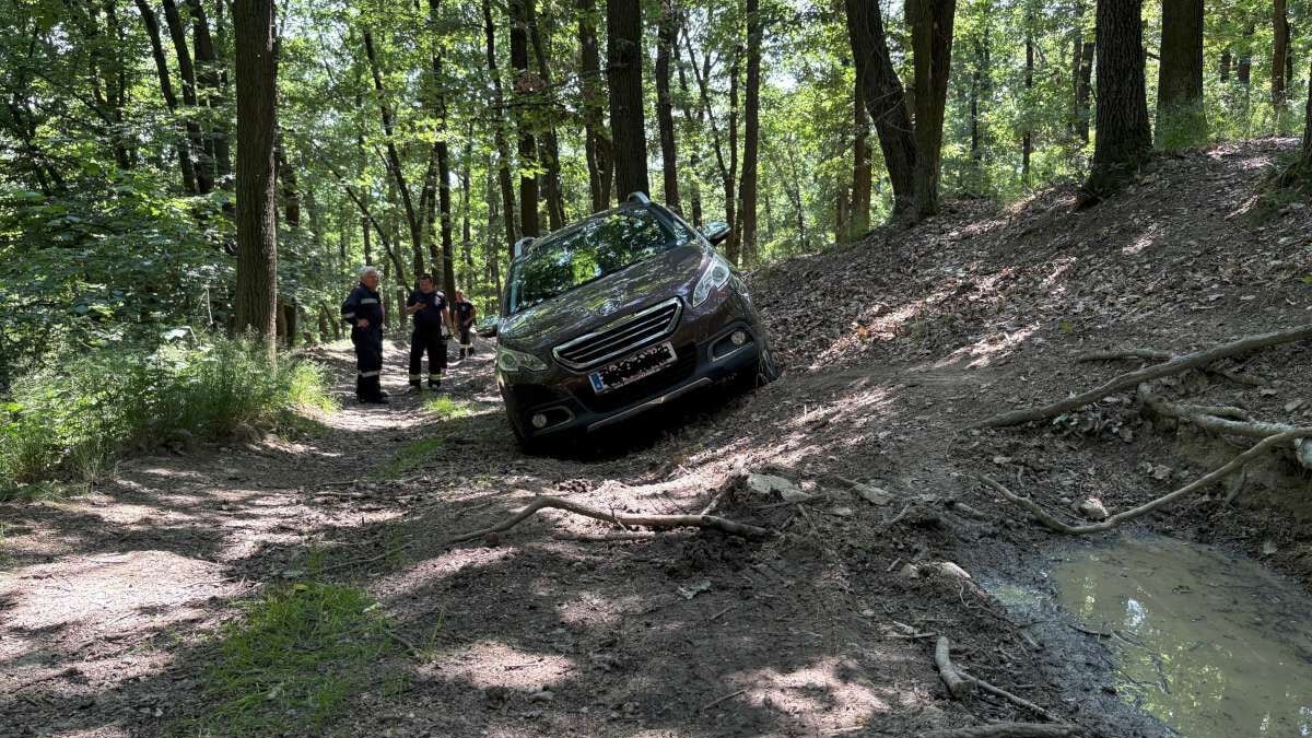 Heute.at - Blind vertraut – Navi schickt Frau mit Pkw in Wald