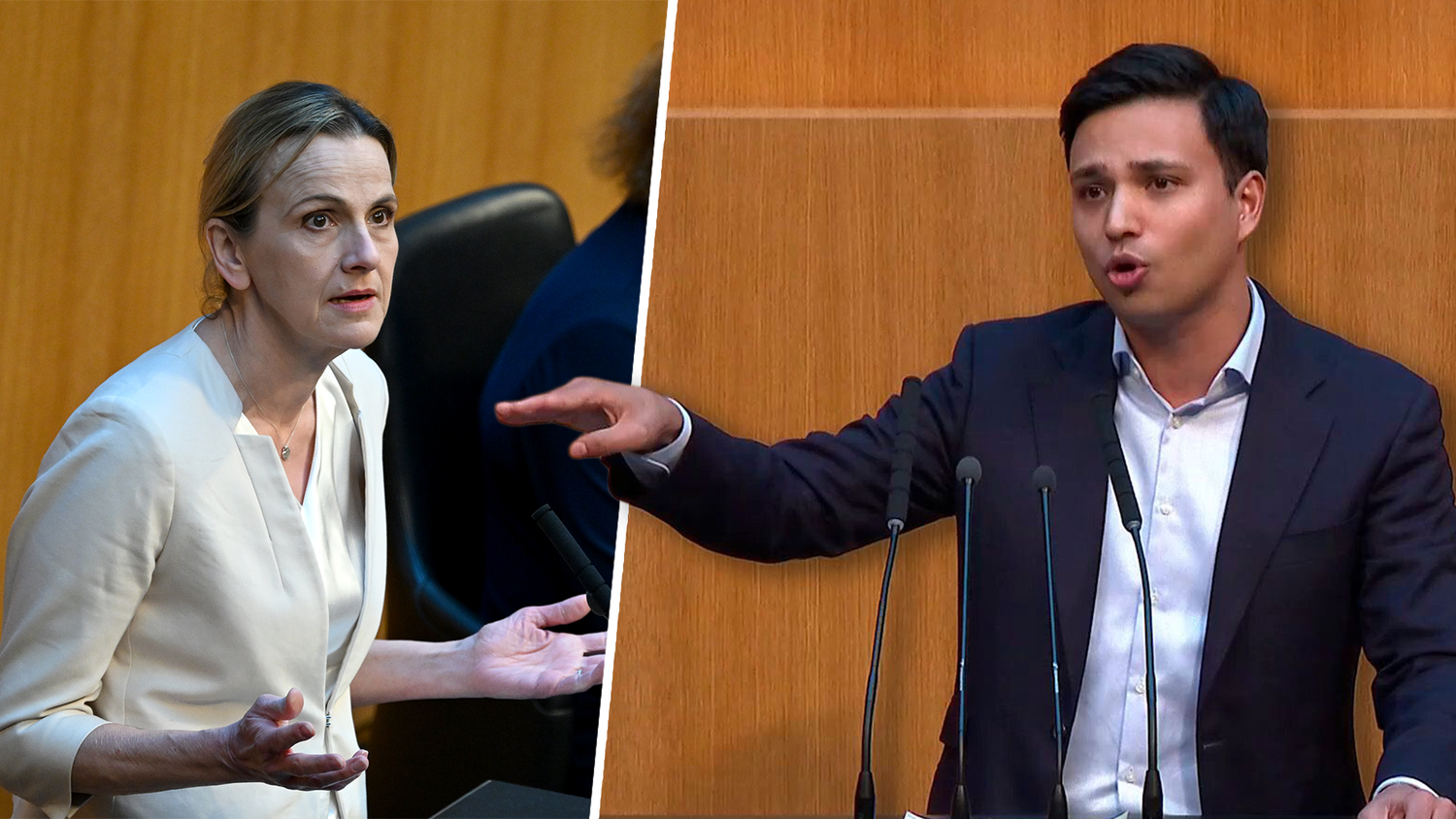 Die Neos kritisieren einen Zwischenruf von FPÖ-Vize Dagmar Belakowitsch scharf.