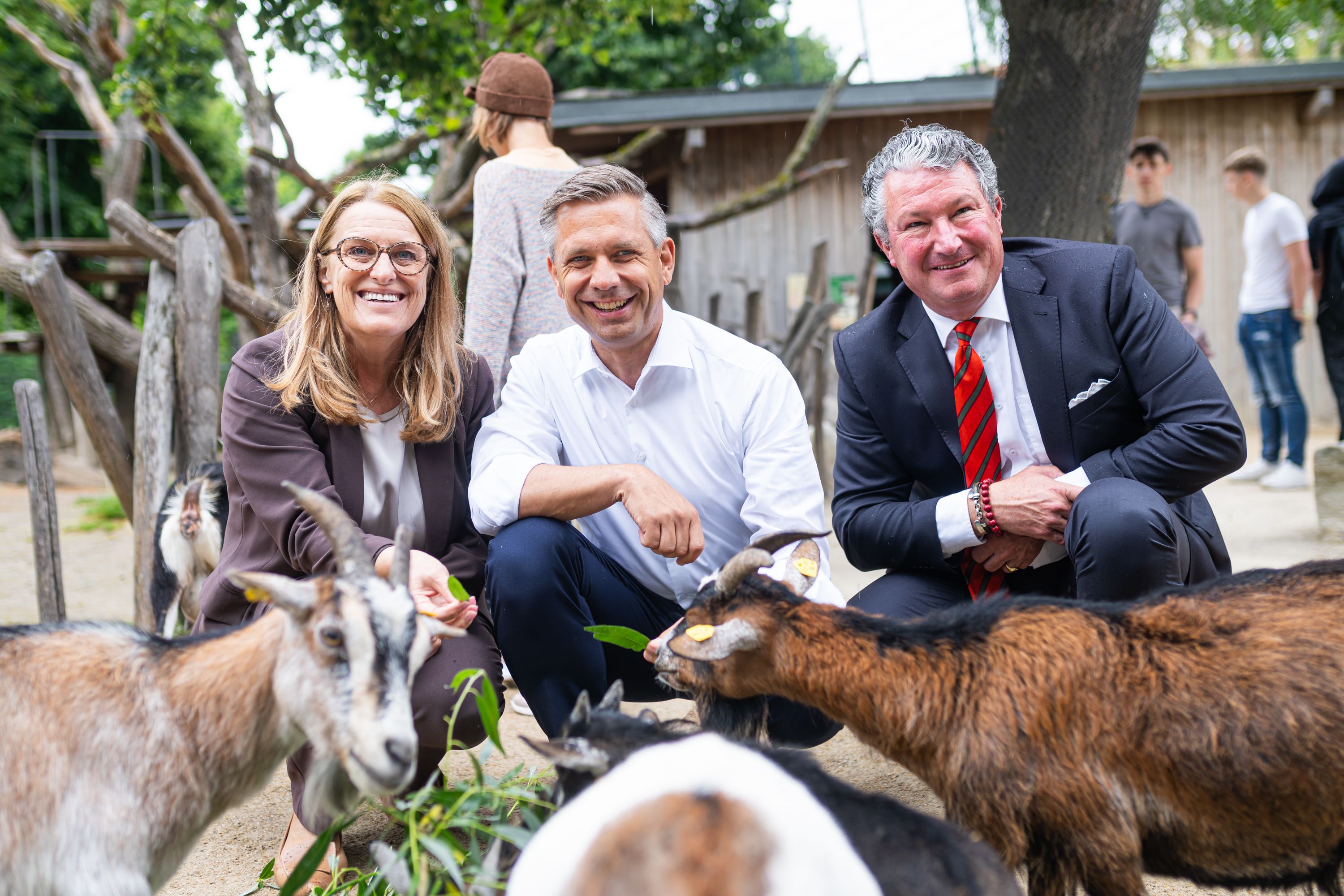 Der Streichelzoo im Tiergarten Schönbrunn hat wieder geöffnet.