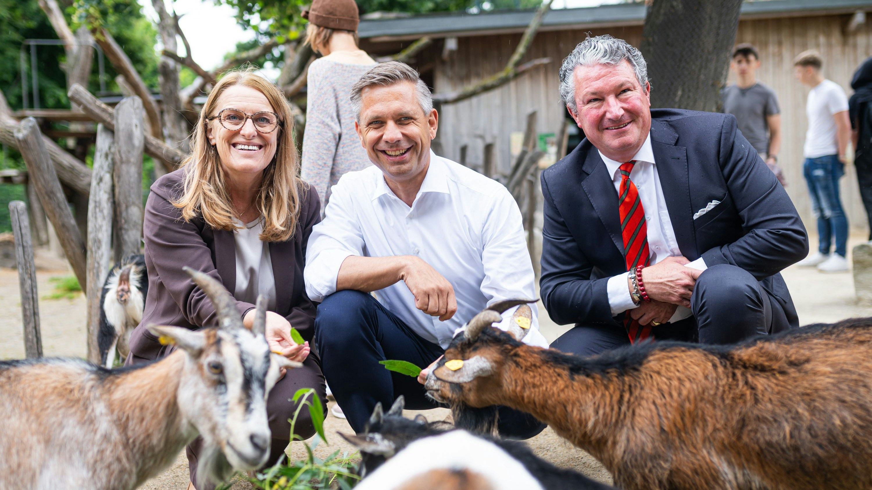 Heute.at - Highlight kehrt zurück – Politiker im Streichelzoo