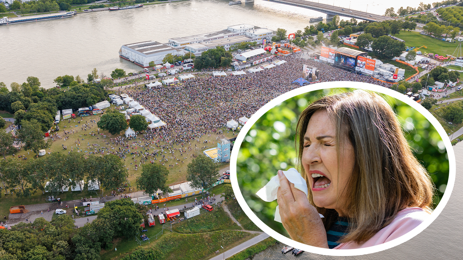 Heute.at - Allergie: So stark fliegen die Pollen am Donauinselfest