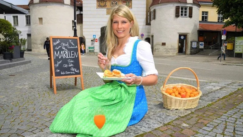 Heute.at - Alles Marille! – Festival lockt in die Wachau