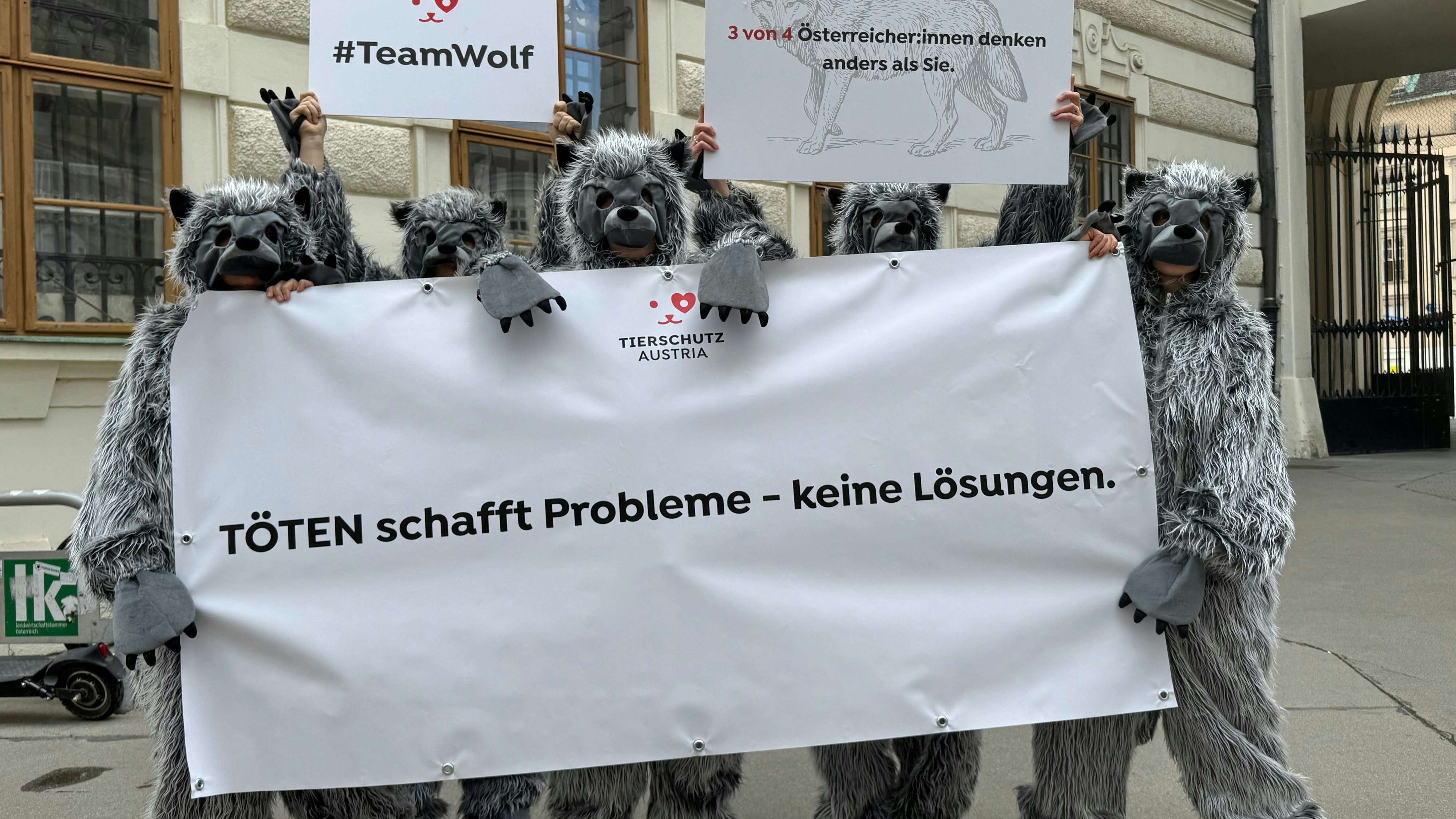 Ganz friedliche Wölfchen.