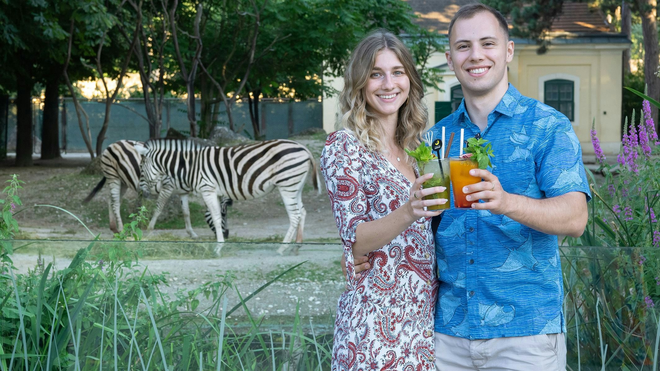 Ein lauer Abend im Zoo? Das geht.