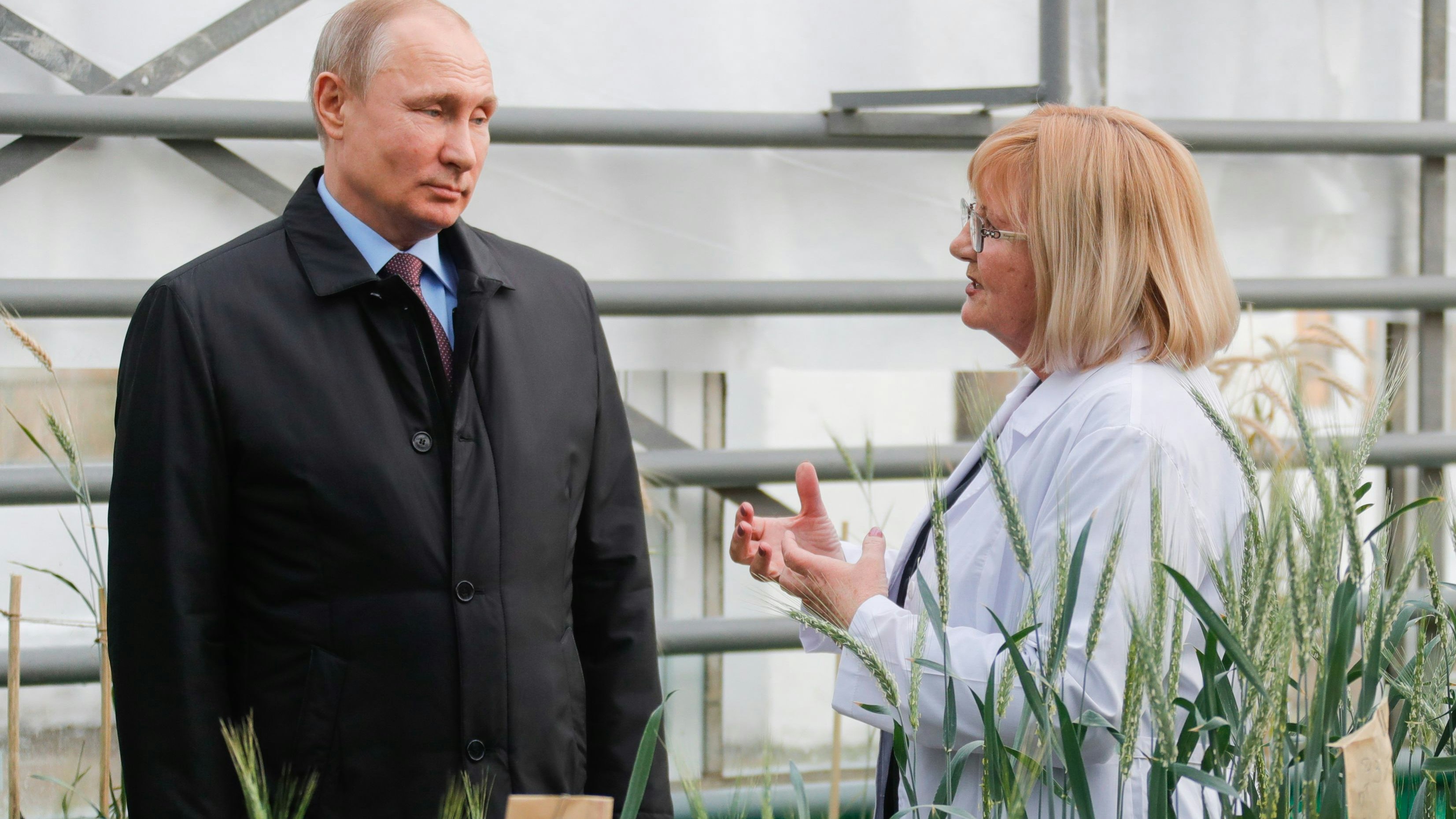 Heute.at - Putin gehen jetzt die Kartoffeln und Zwiebeln aus