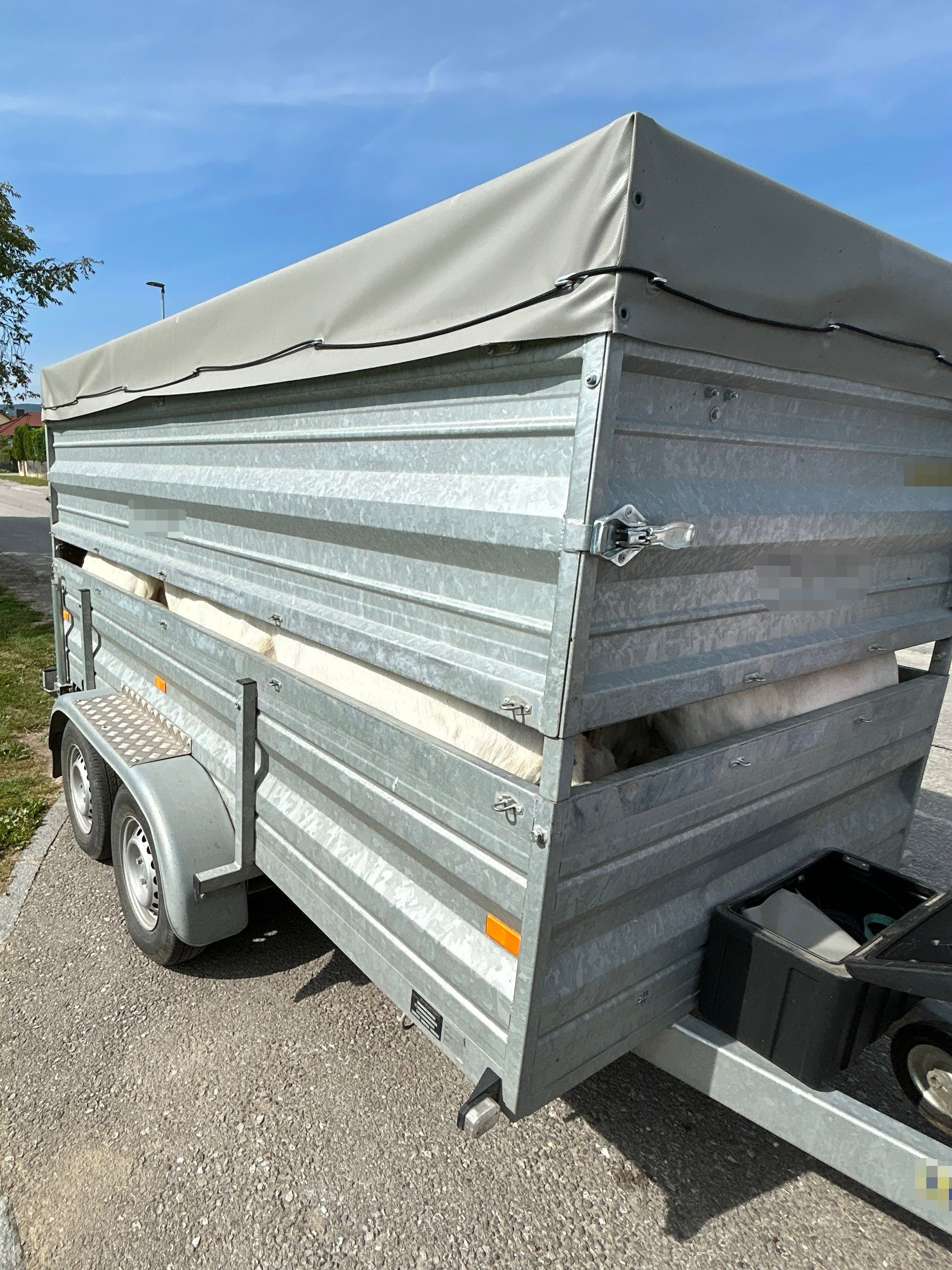 So klein war der Tiertransporter mit 32 Ziegen!