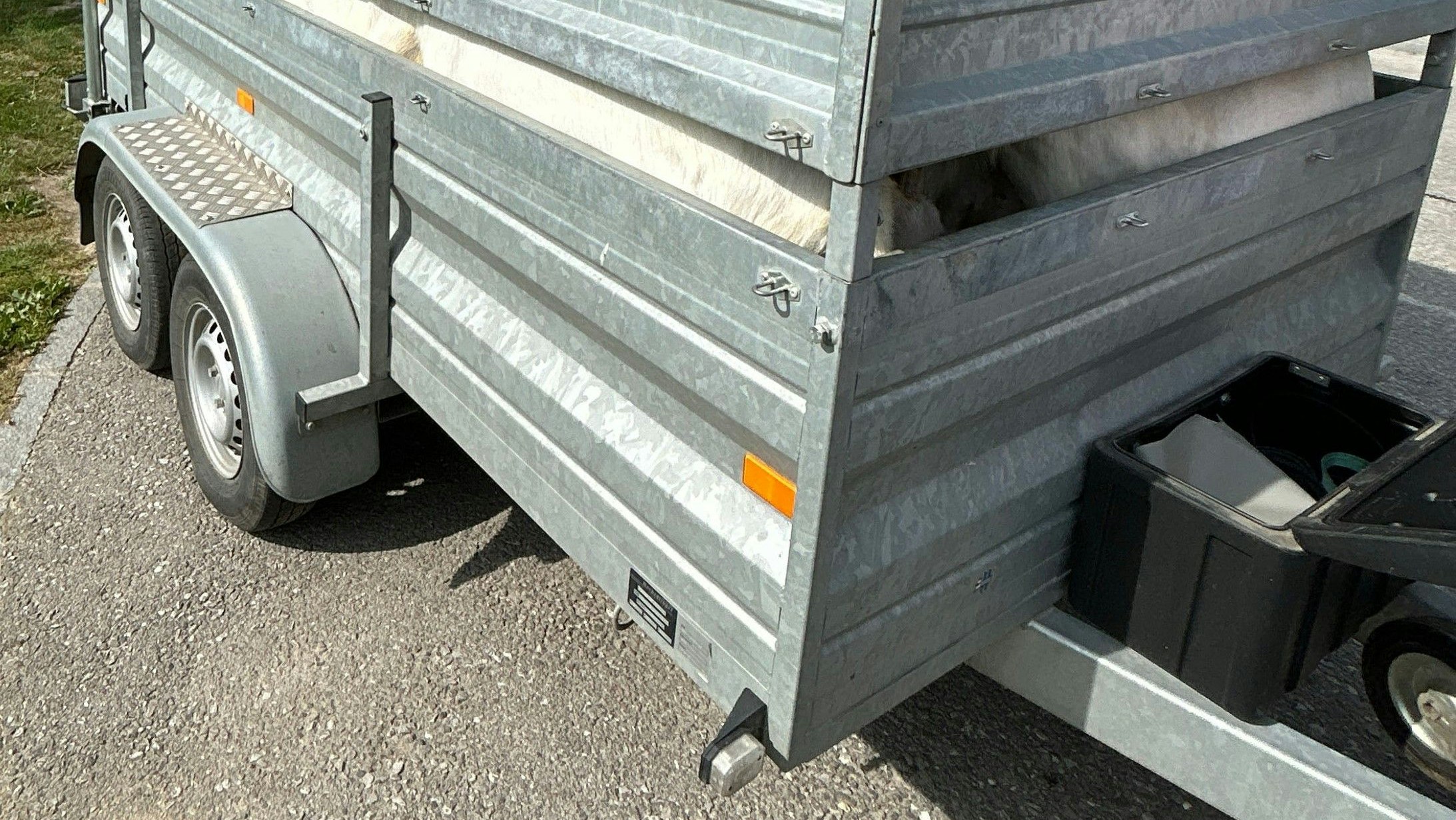 So klein war der Tiertransporter mit 32 Ziegen!