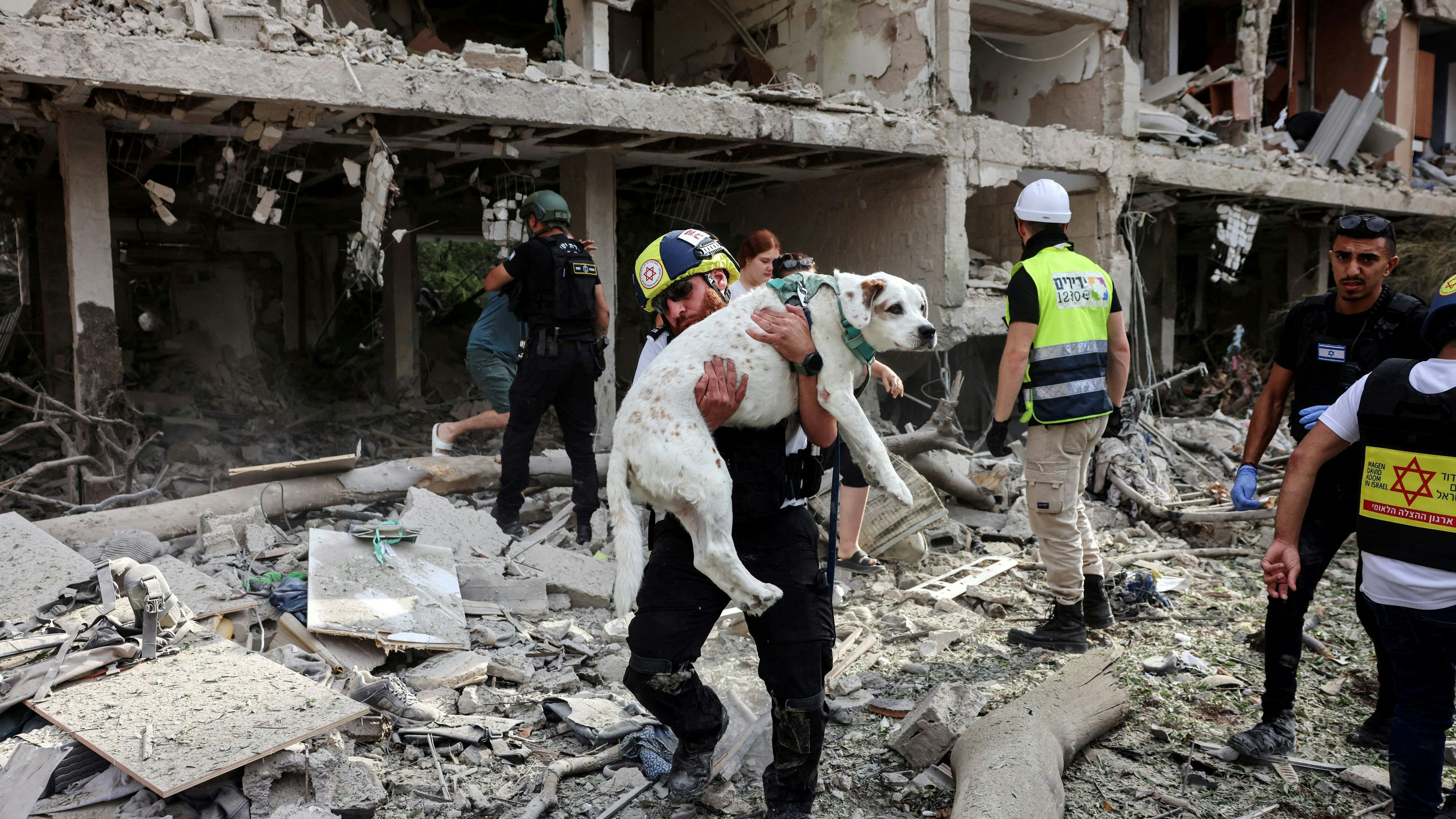 Ein Rettungshelfer evakuiert einen Hund aus einem Trümmerfeld nach einem Raketenangriff aus dem Iran auf Tel Aviv