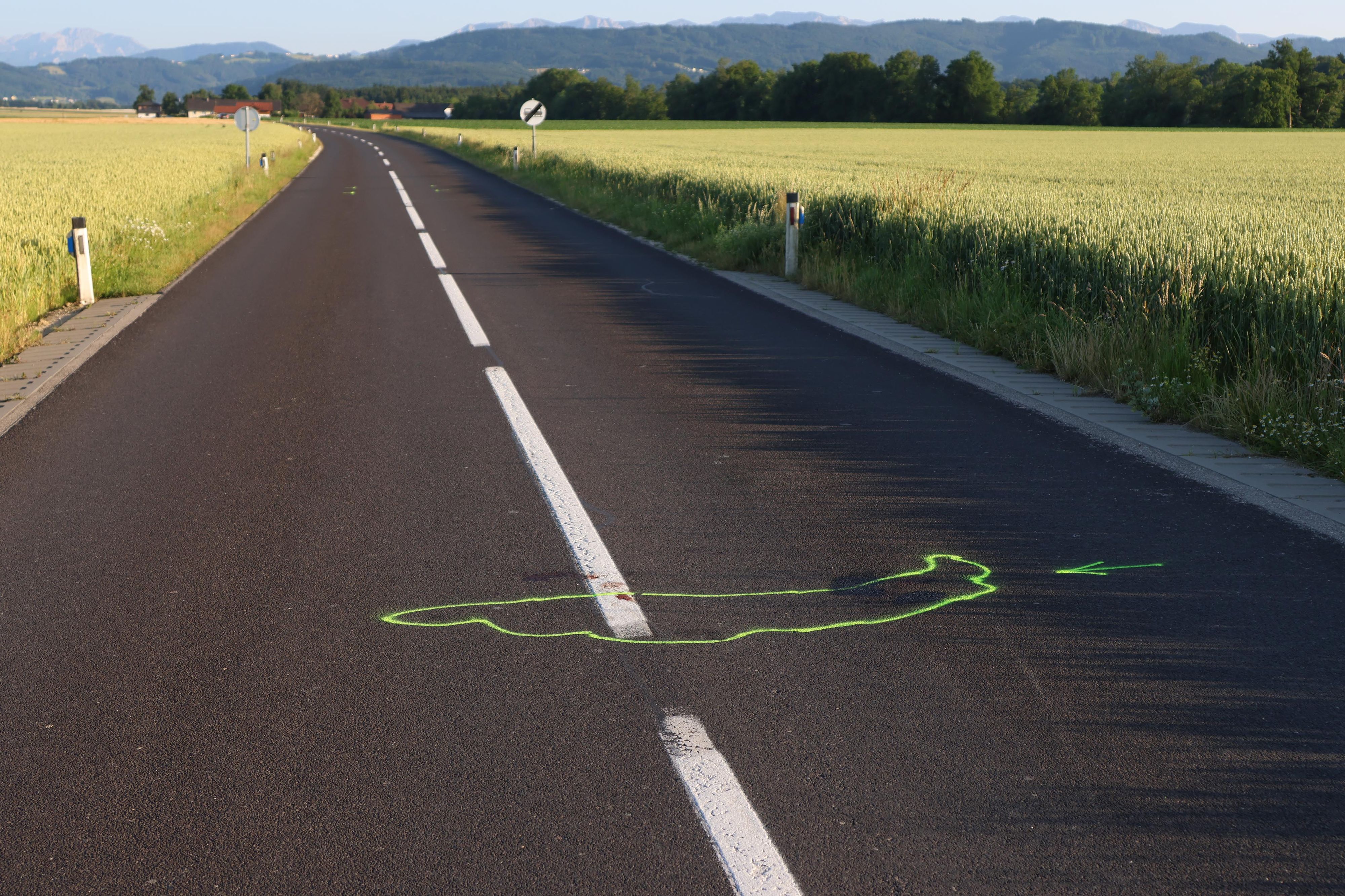 Hier passierte es: Der Crash in Desselbrunn (Bez. Vöcklabruck) endete für den Pensionisten tödlich.