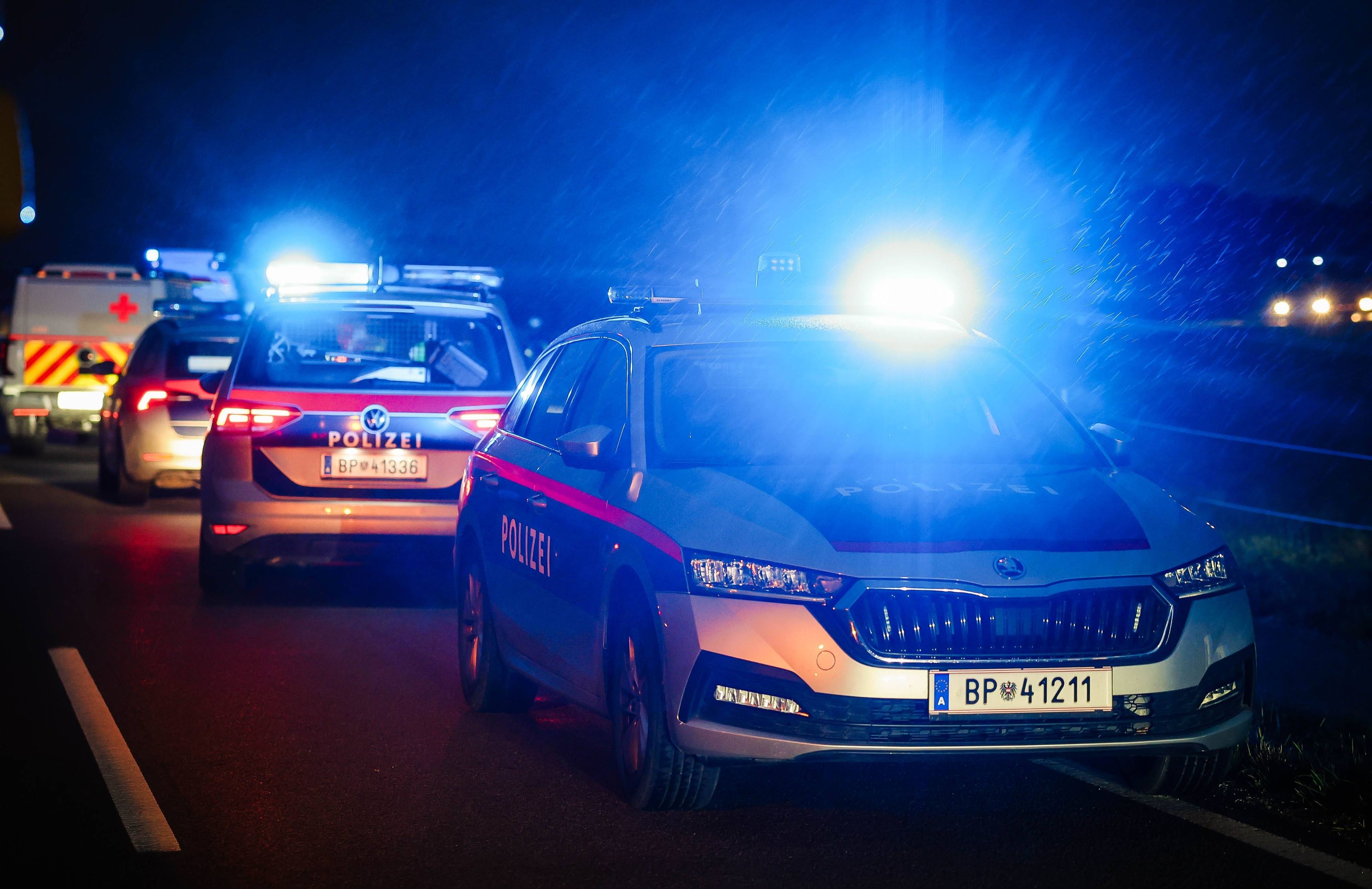 Die Polizei musste mitten in der Nacht zu einer Massenschlägerei ausrücken.