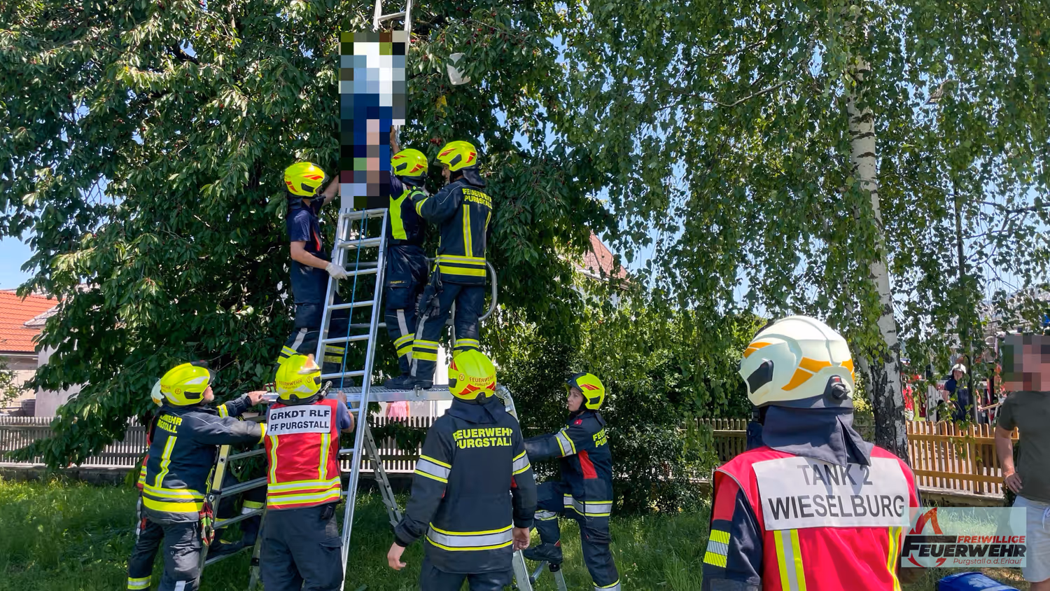Menschenrettung beim Kirschpflücken in Purgstall