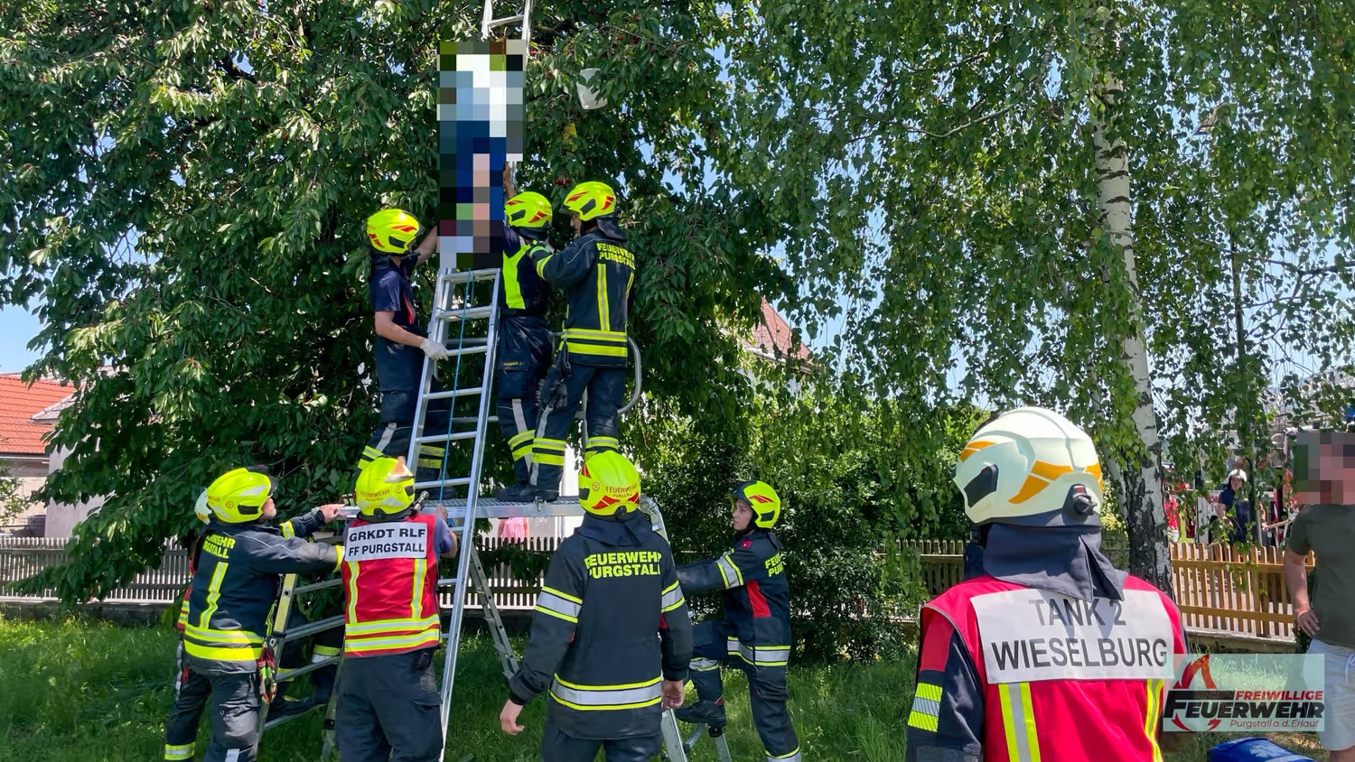 Menschenrettung beim Kirschpflücken in Purgstall