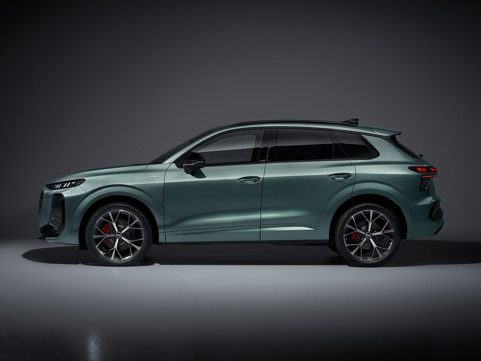 Zwei Motorvarianten gibt es zum Start zur Wahl.