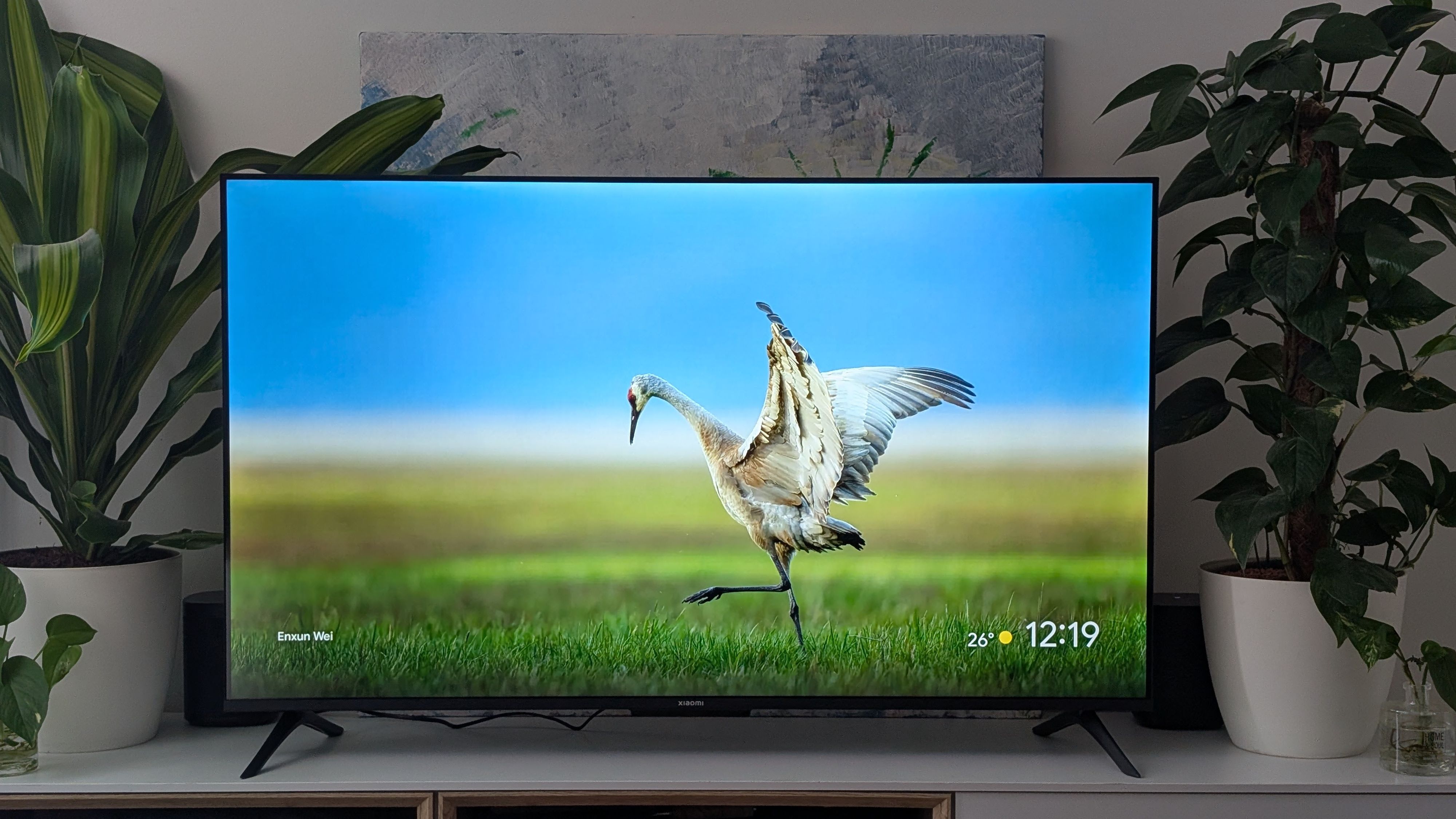 Ein Highlight, das sich nicht sofort am Papier ablesen lässt, aber in der Praxis auffällt, ist die gute Bewegungsdarstellung des TV.