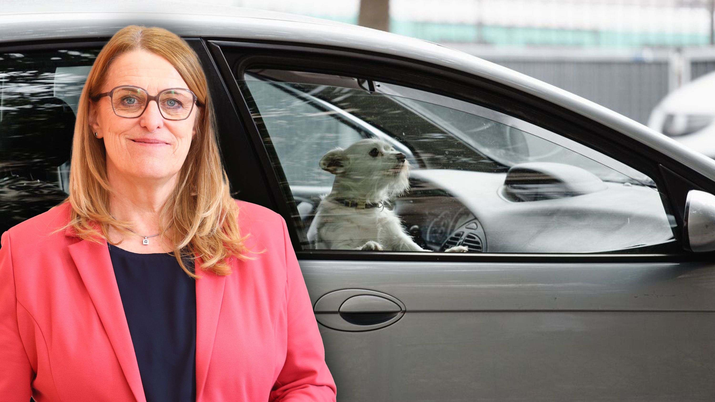 Schaut nicht weg: SPÖ-Staatssekretärin Ulrike Königsberger-Ludwig